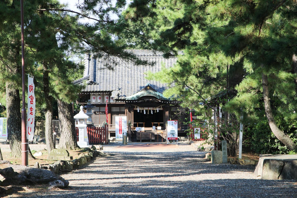 ええじゃないか豊橋まつりが3年ぶり開催 総おどりにクイーンの登場も オマツリジャパン あなたと祭りをつなげるメディア ええじゃないか豊橋まつりが3年ぶり開催 総おどりにクイーンの登場も オマツリジャパン あなたと祭りをつなげるメディア