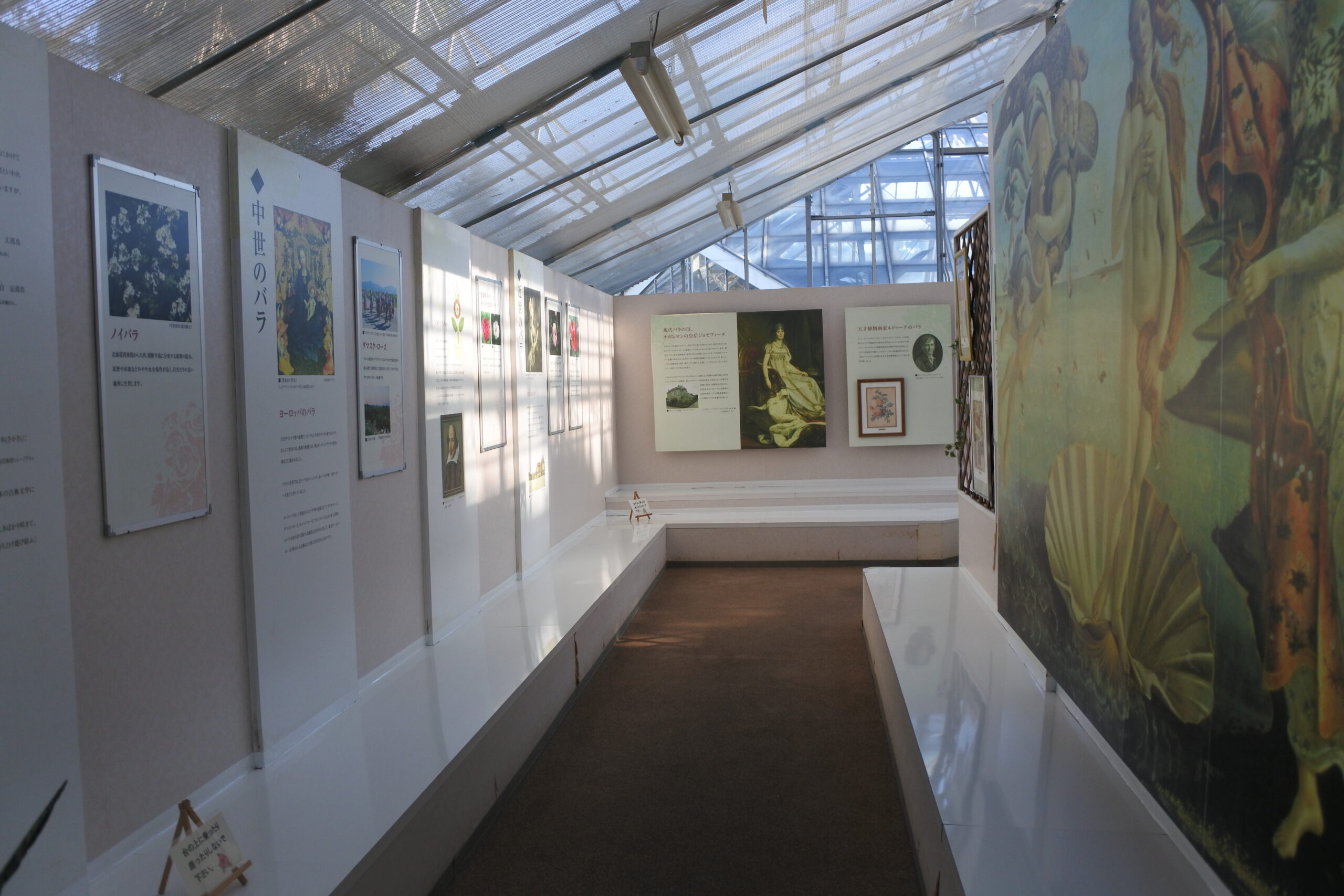 敷島公園門倉テクノばら園