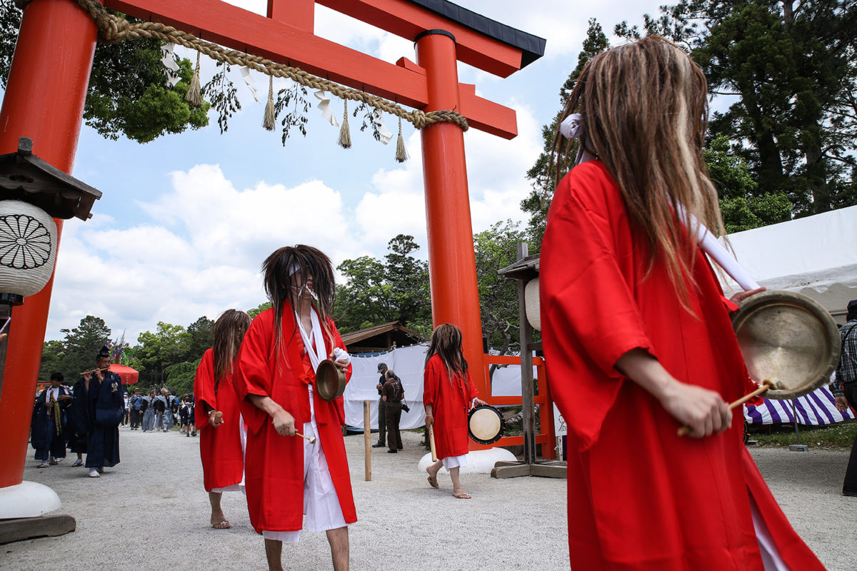 京都三大奇祭とは？いつ開催？やすらい花、火祭、牛祭って一体どんな祭り？
