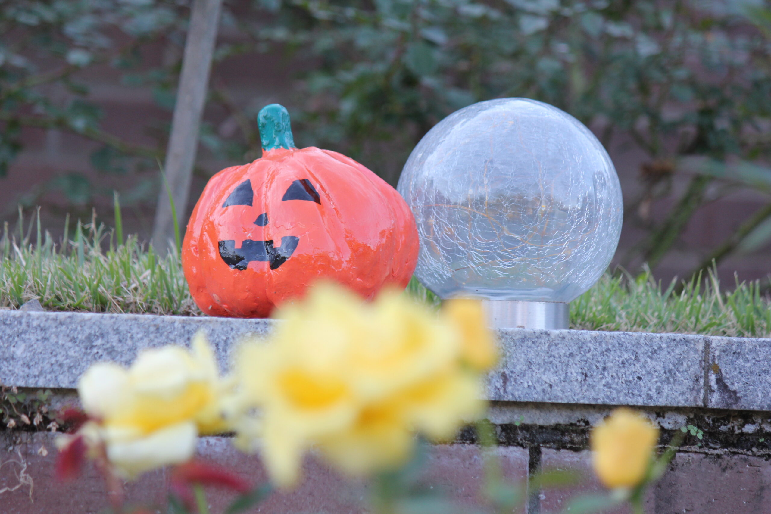 敷島公園門倉テクノばら園