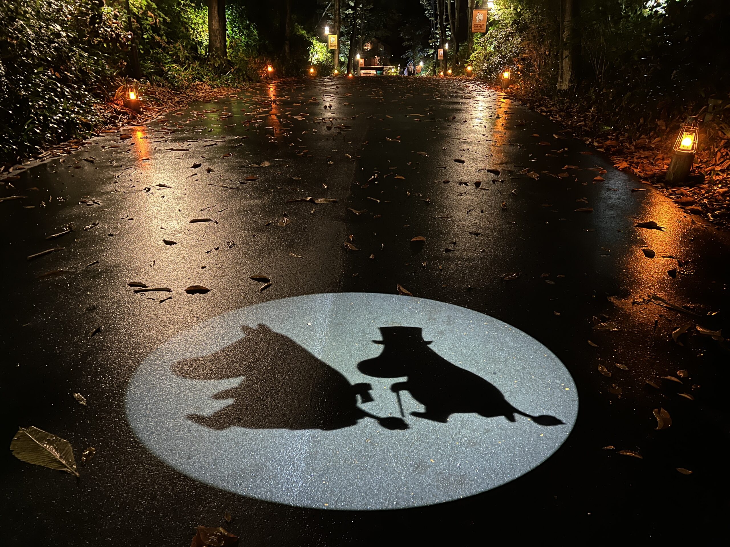 イルモリノオト