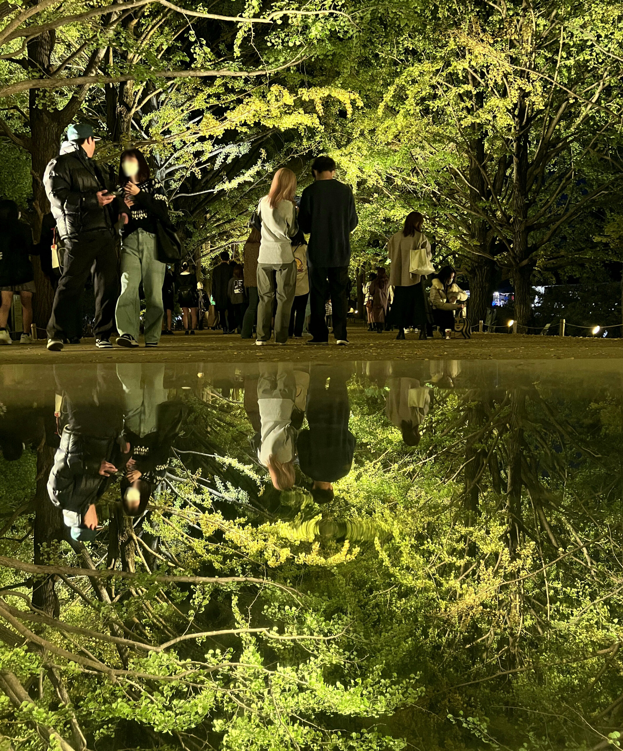 国営昭和記念公園「秋の夜散歩」