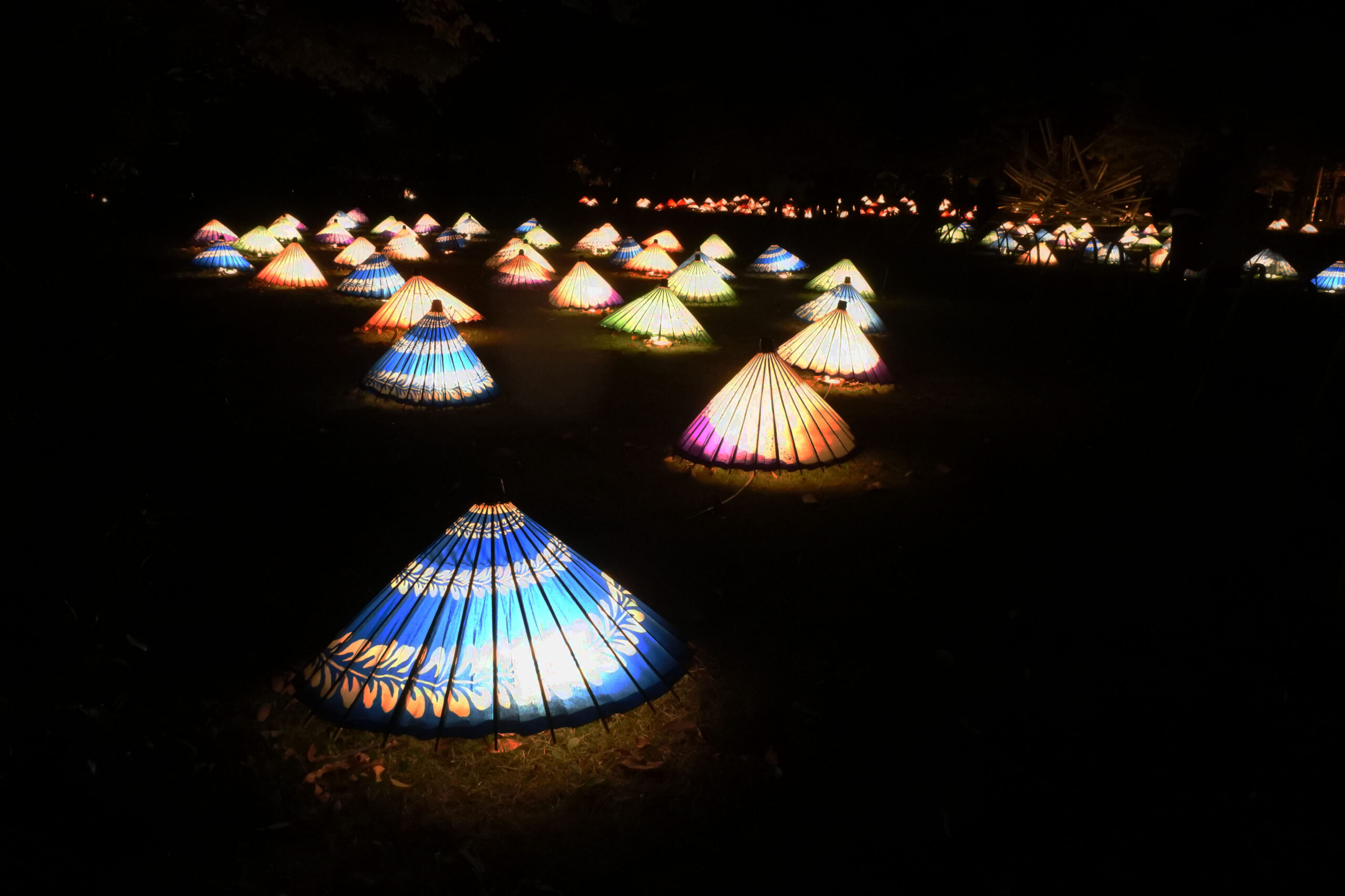 国営昭和記念公園「秋の夜散歩」