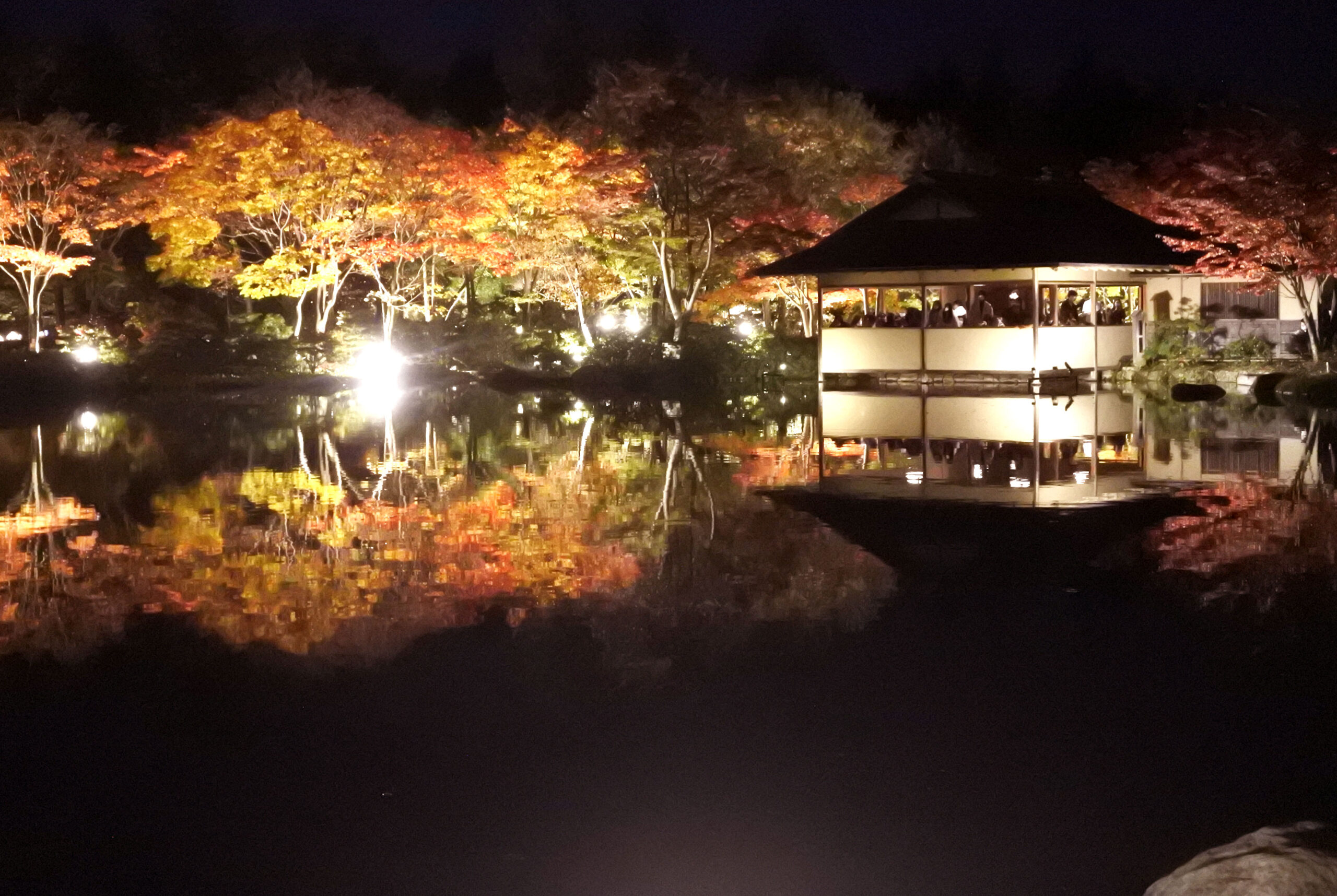 国営昭和記念公園「秋の夜散歩」