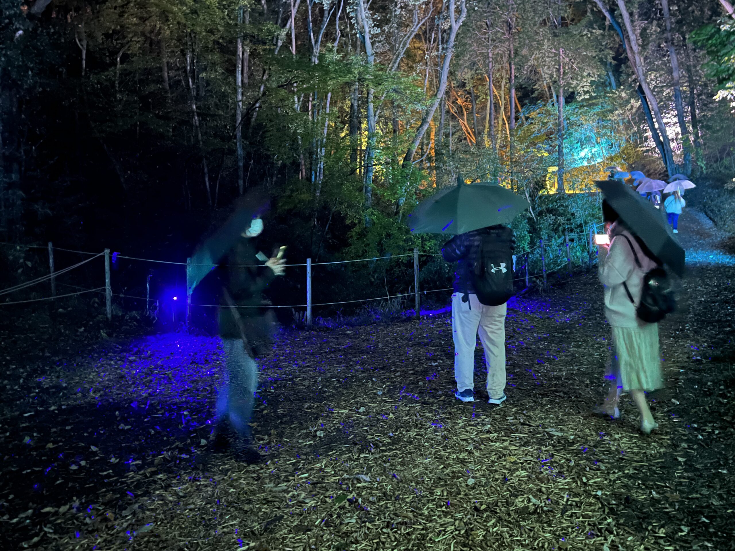 イルモリノオト