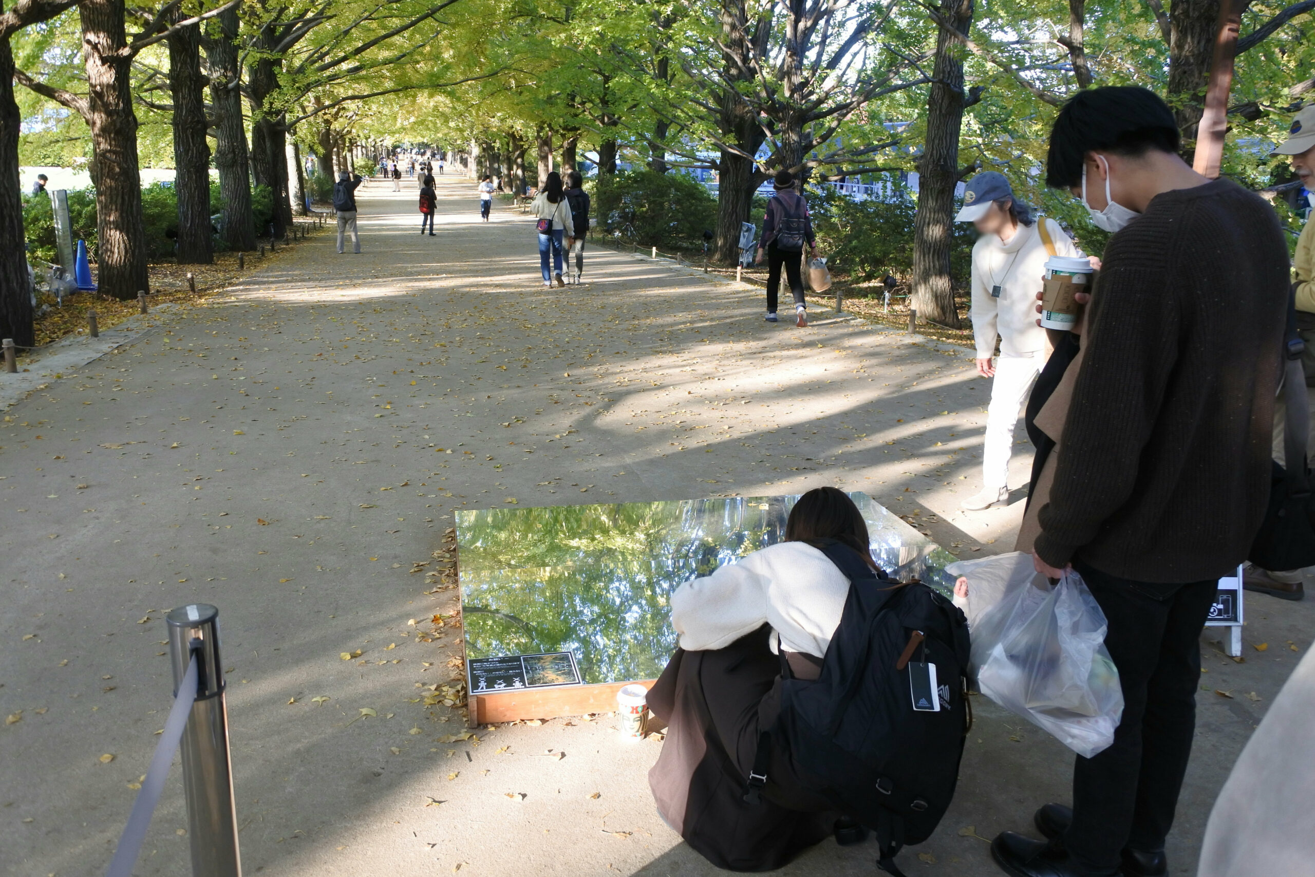 国営昭和記念公園「秋の夜散歩」