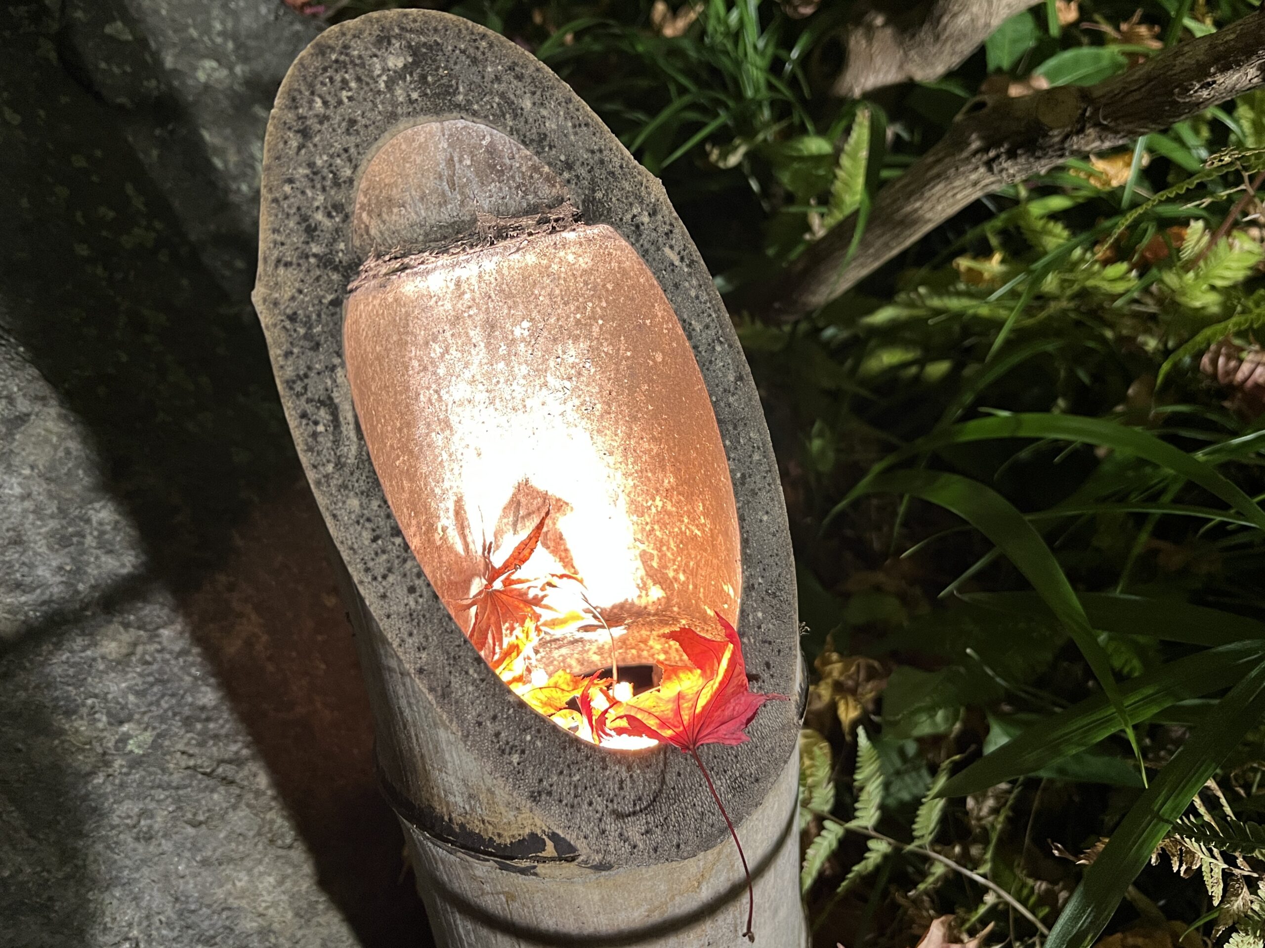 国営昭和記念公園「秋の夜散歩」