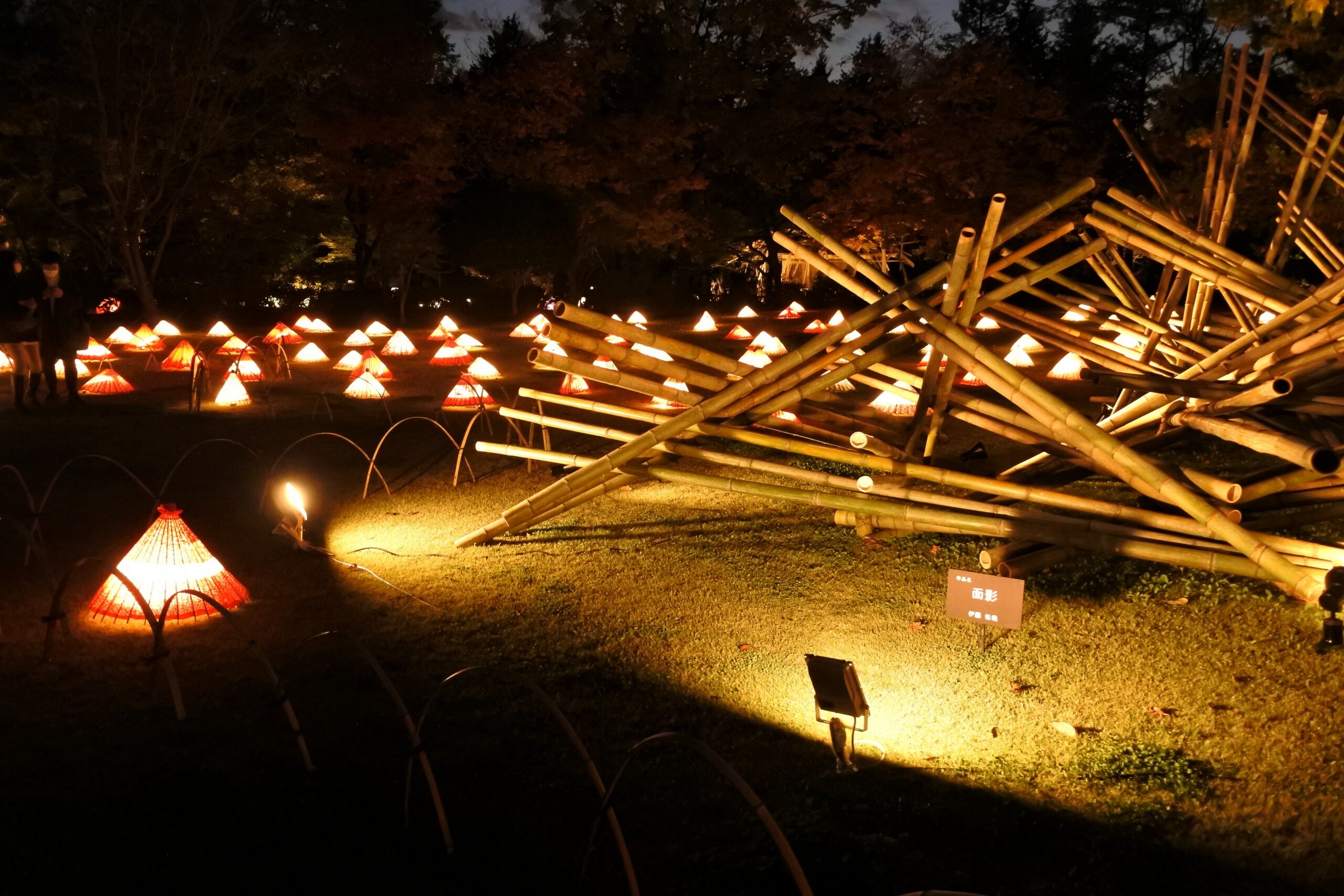国営昭和記念公園「秋の夜散歩」