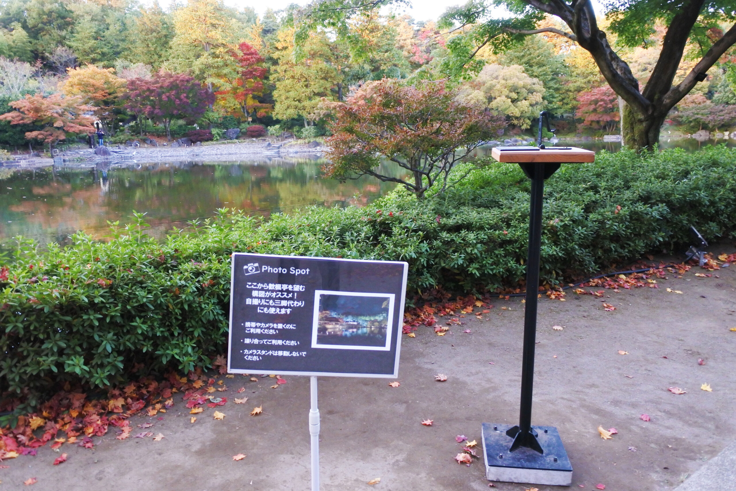 国営昭和記念公園「秋の夜散歩」