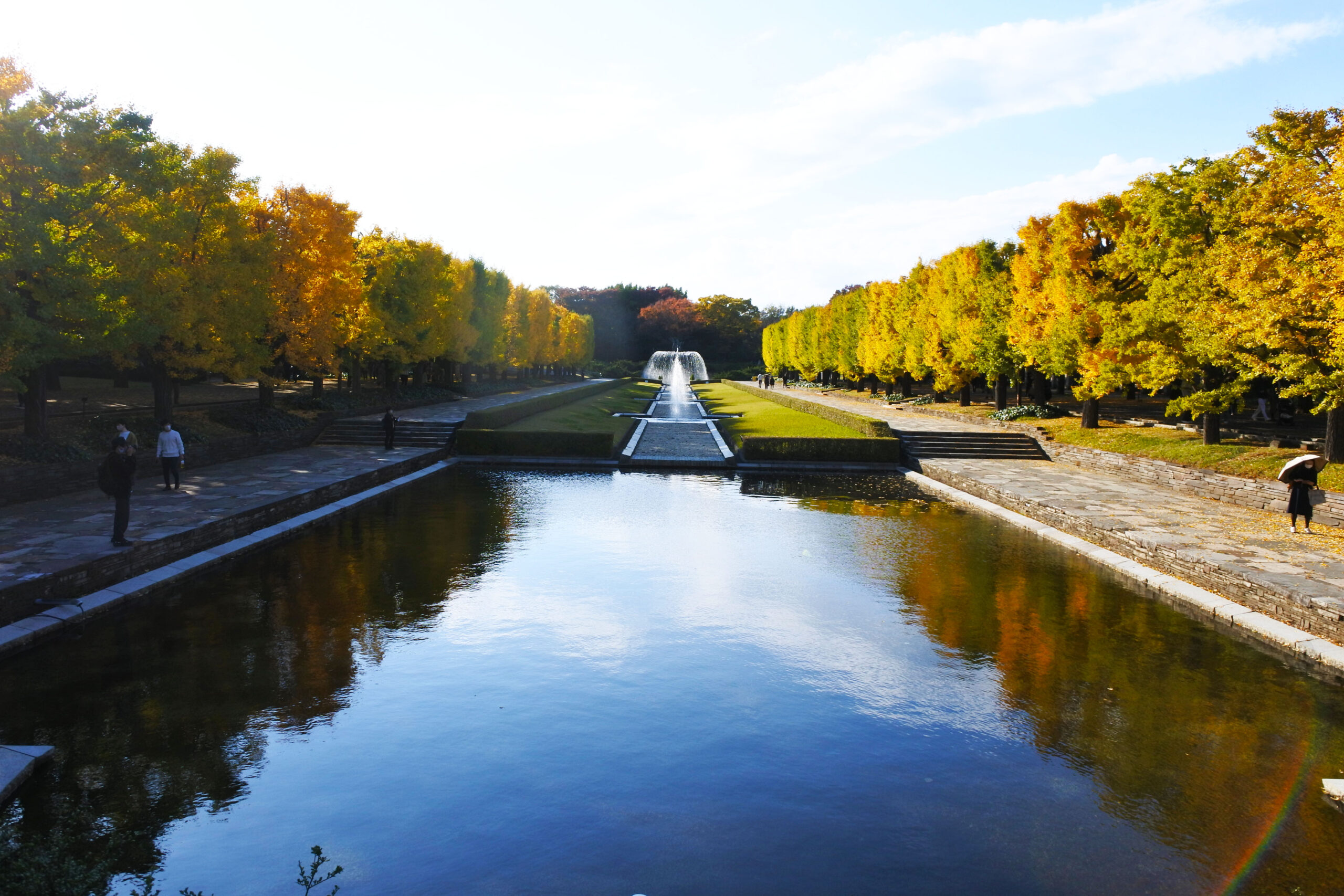 国営昭和記念公園「秋の夜散歩」