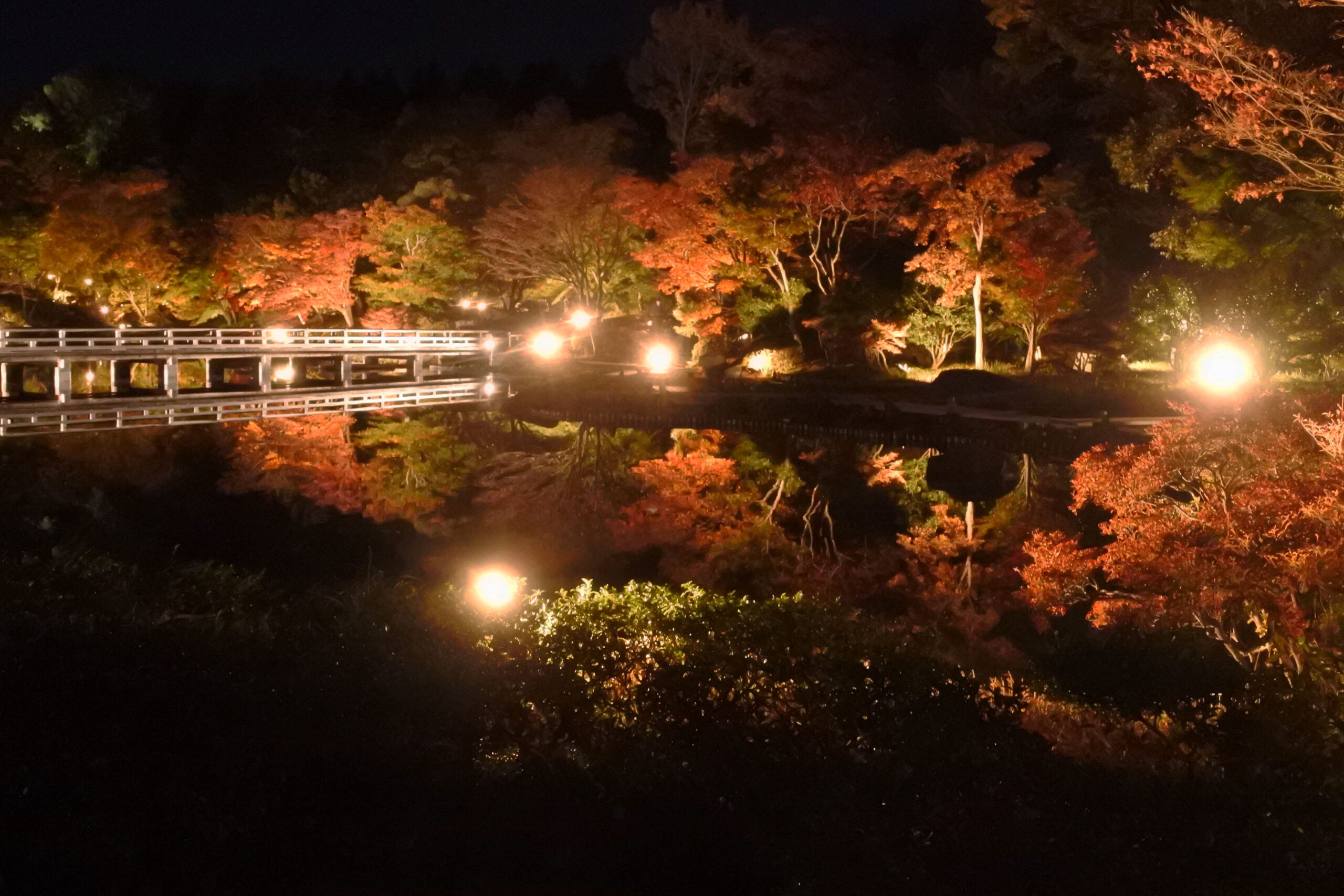 国営昭和記念公園「秋の夜散歩」