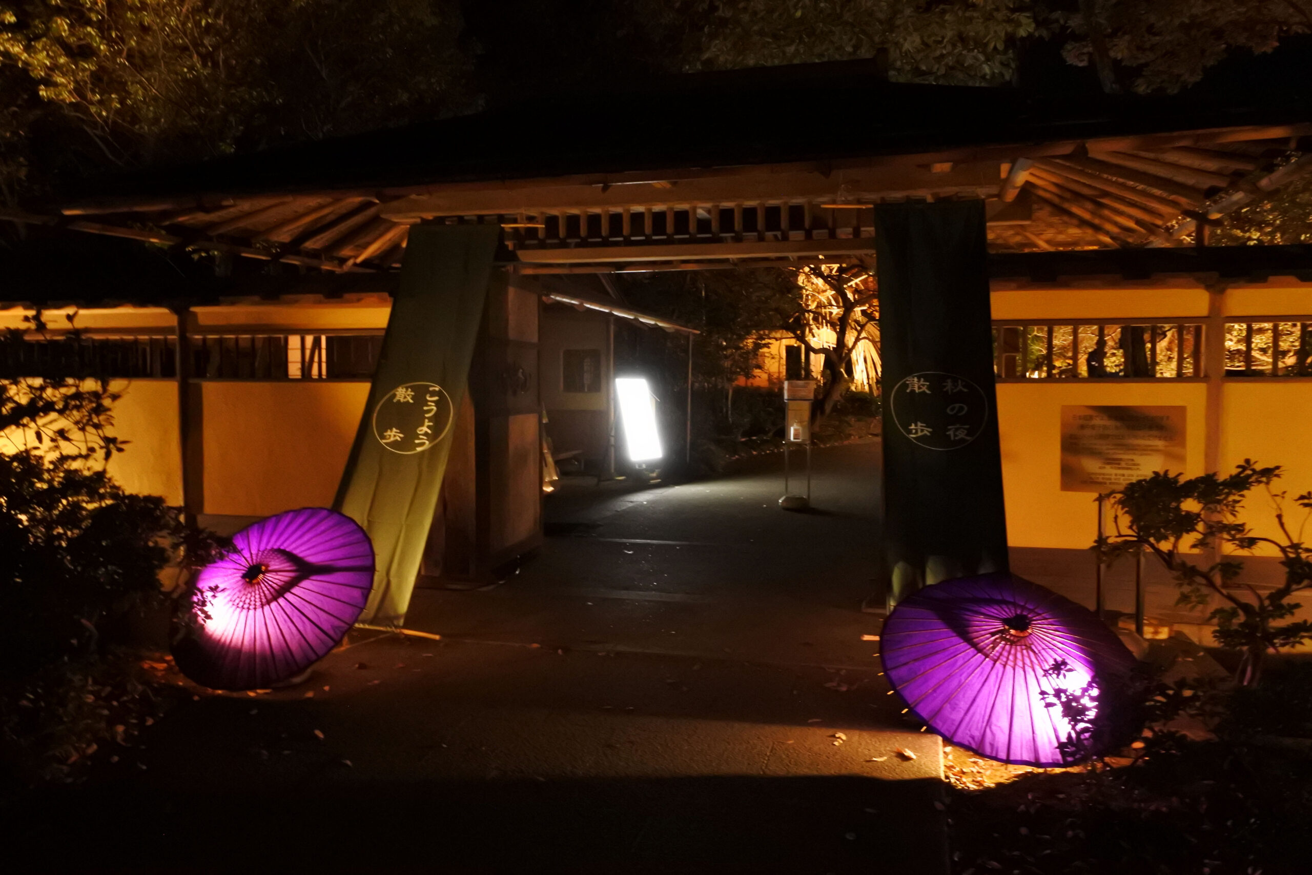 国営昭和記念公園「秋の夜散歩」