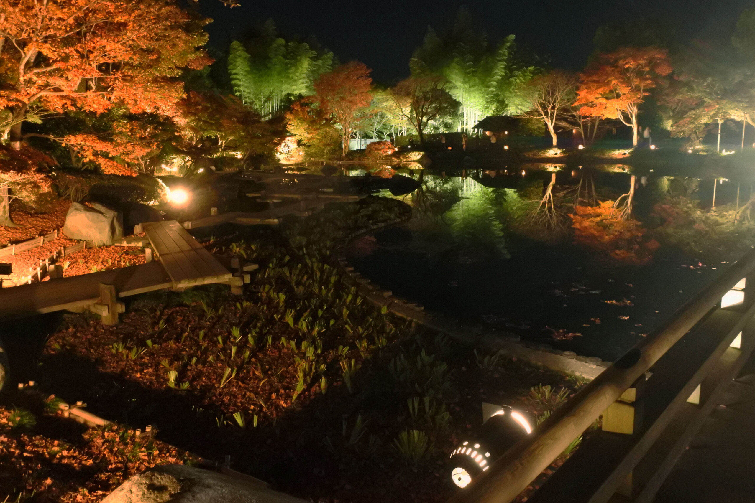 国営昭和記念公園「秋の夜散歩」