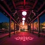 「NAKEDヨルモウデ 2022 平安神宮」が開催中！今だけ京都で楽しめるデジタルライトアップをレポート