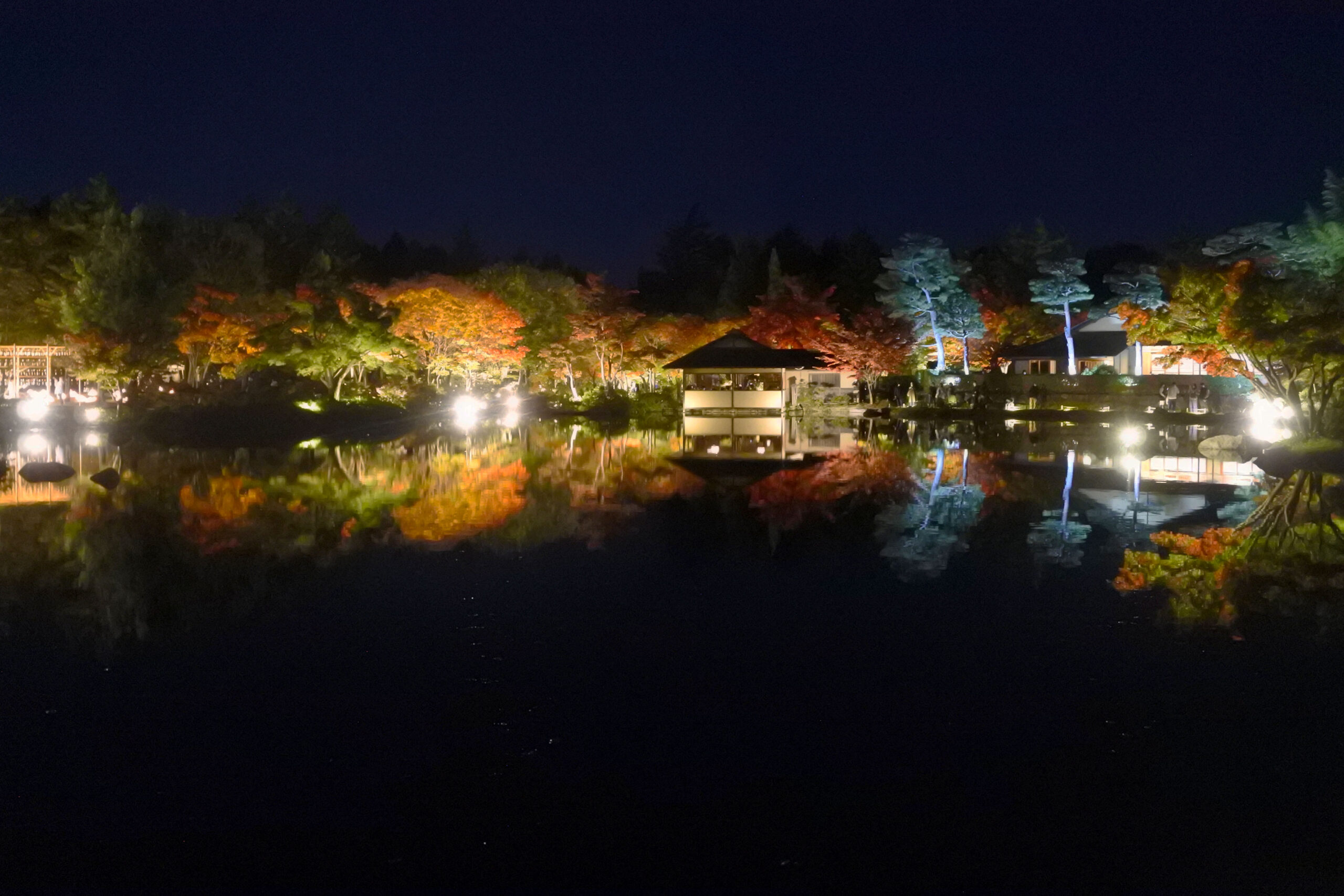 国営昭和記念公園「秋の夜散歩」