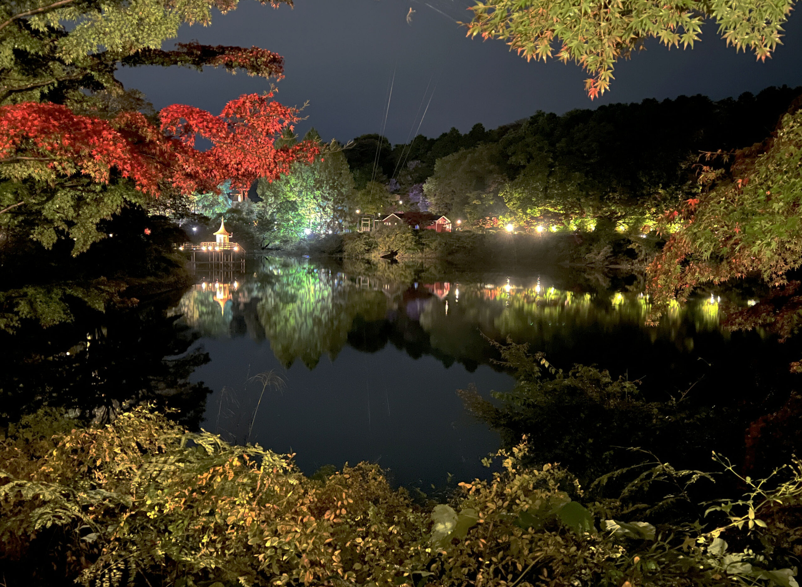 イルモリノオト