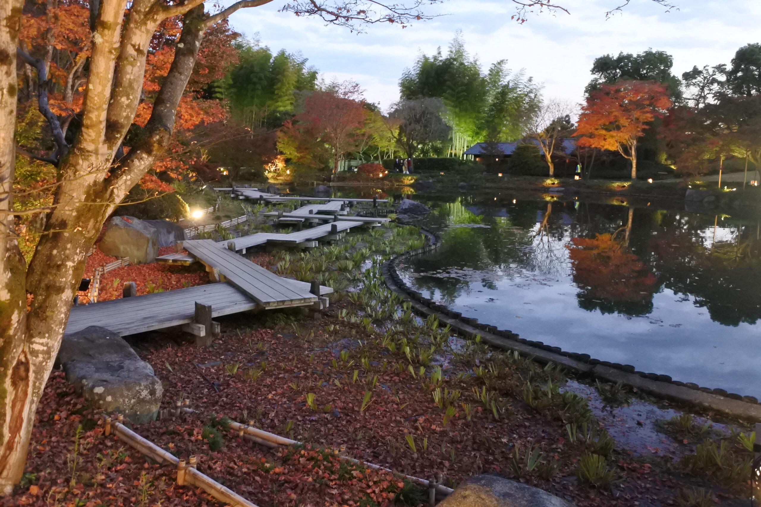 国営昭和記念公園「秋の夜散歩」