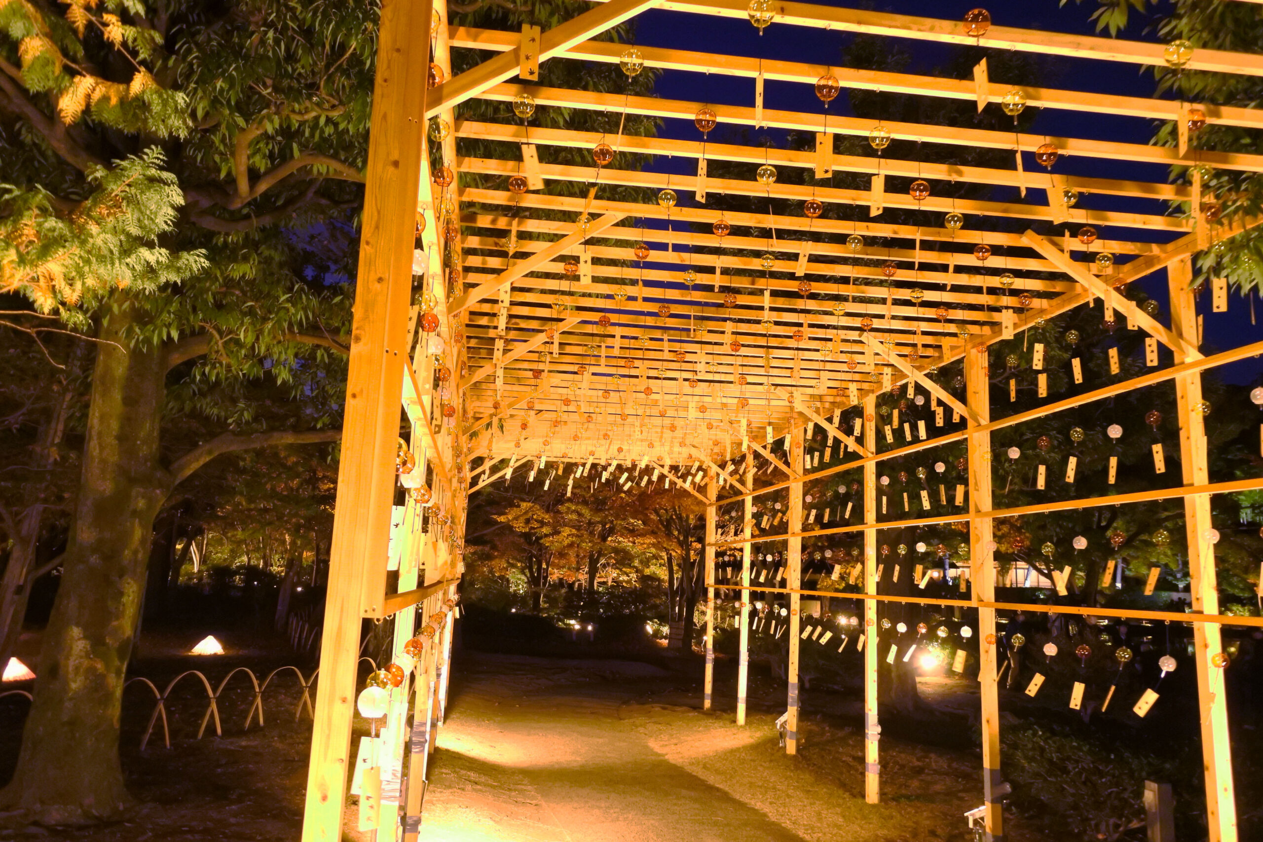 国営昭和記念公園「秋の夜散歩」