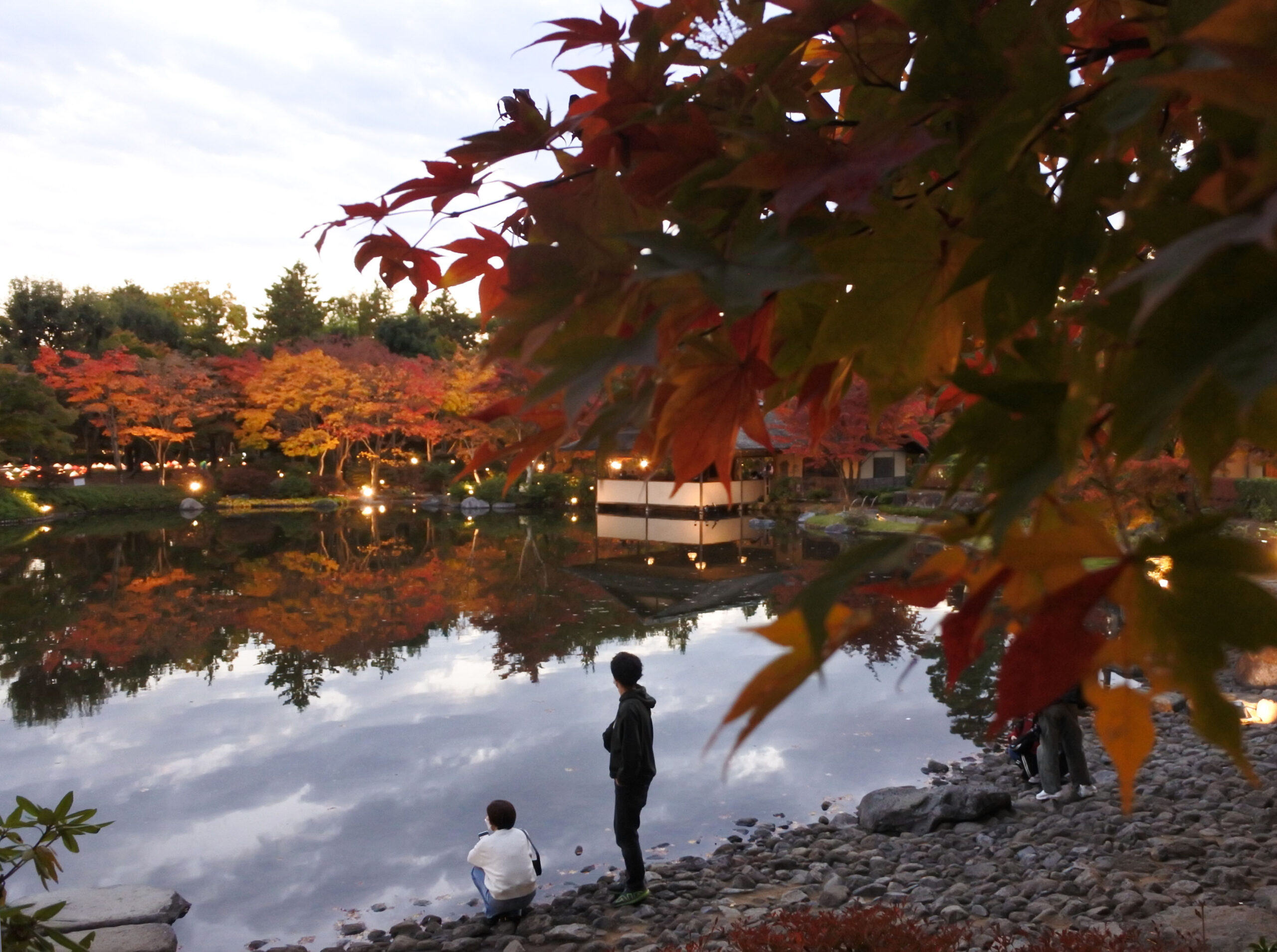 国営昭和記念公園「秋の夜散歩」