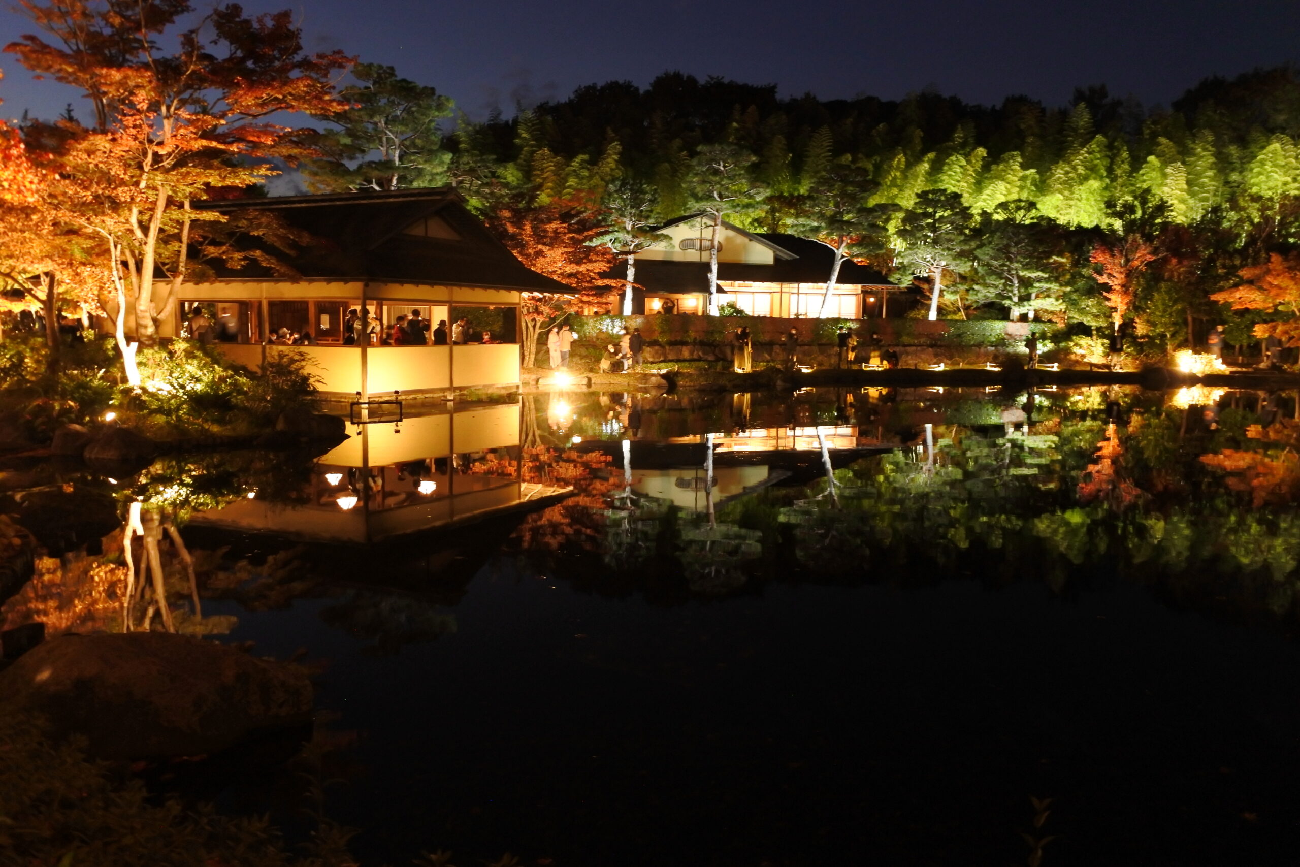 国営昭和記念公園「秋の夜散歩」