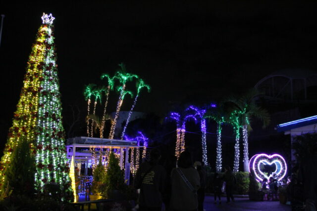 沖縄こどもの国 クリスマスファンタジー