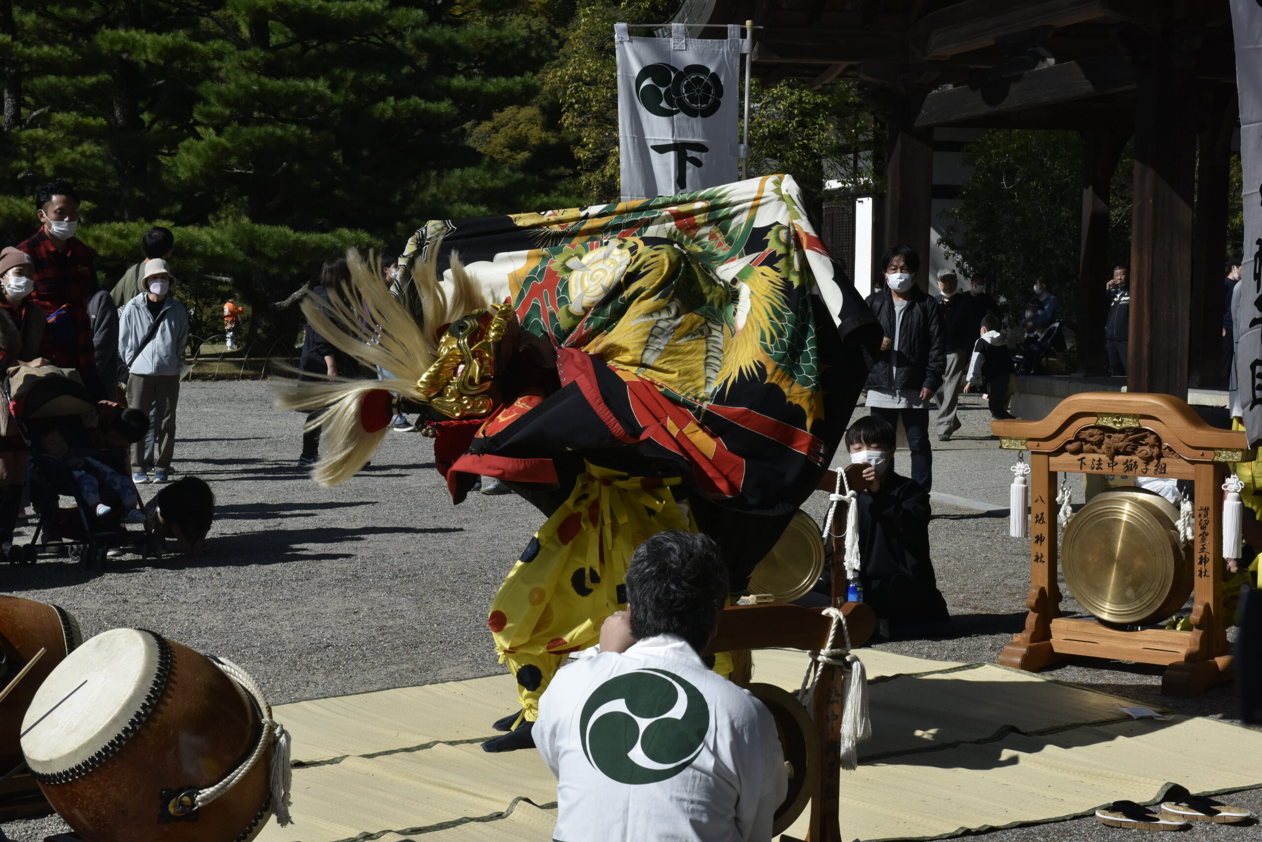 まるで猫みたい！？「獅子舞王国さぬき」に大集結した香川県の獅子舞の特徴とは？｜株式会社オマツリジャパン