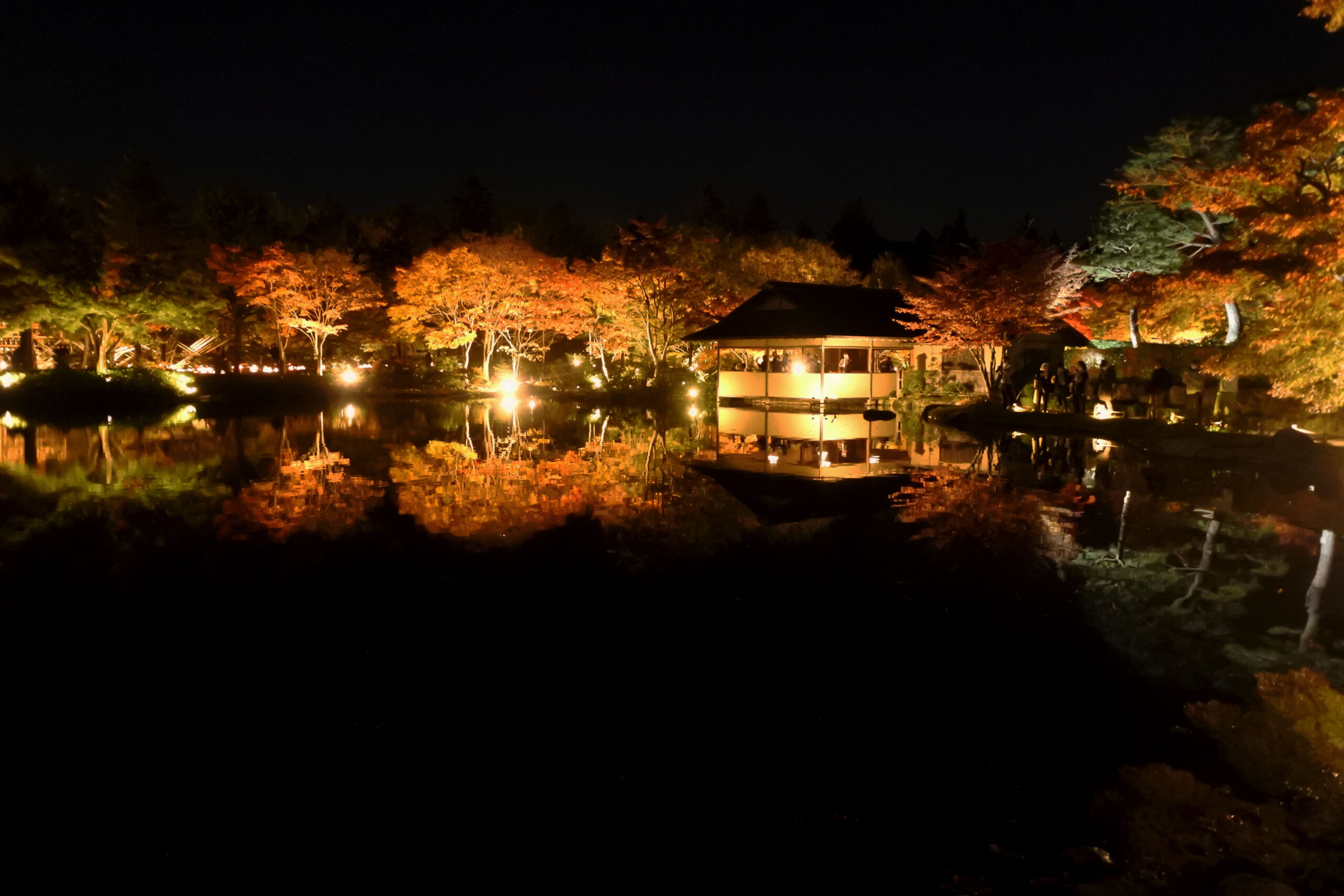 国営昭和記念公園「秋の夜散歩」