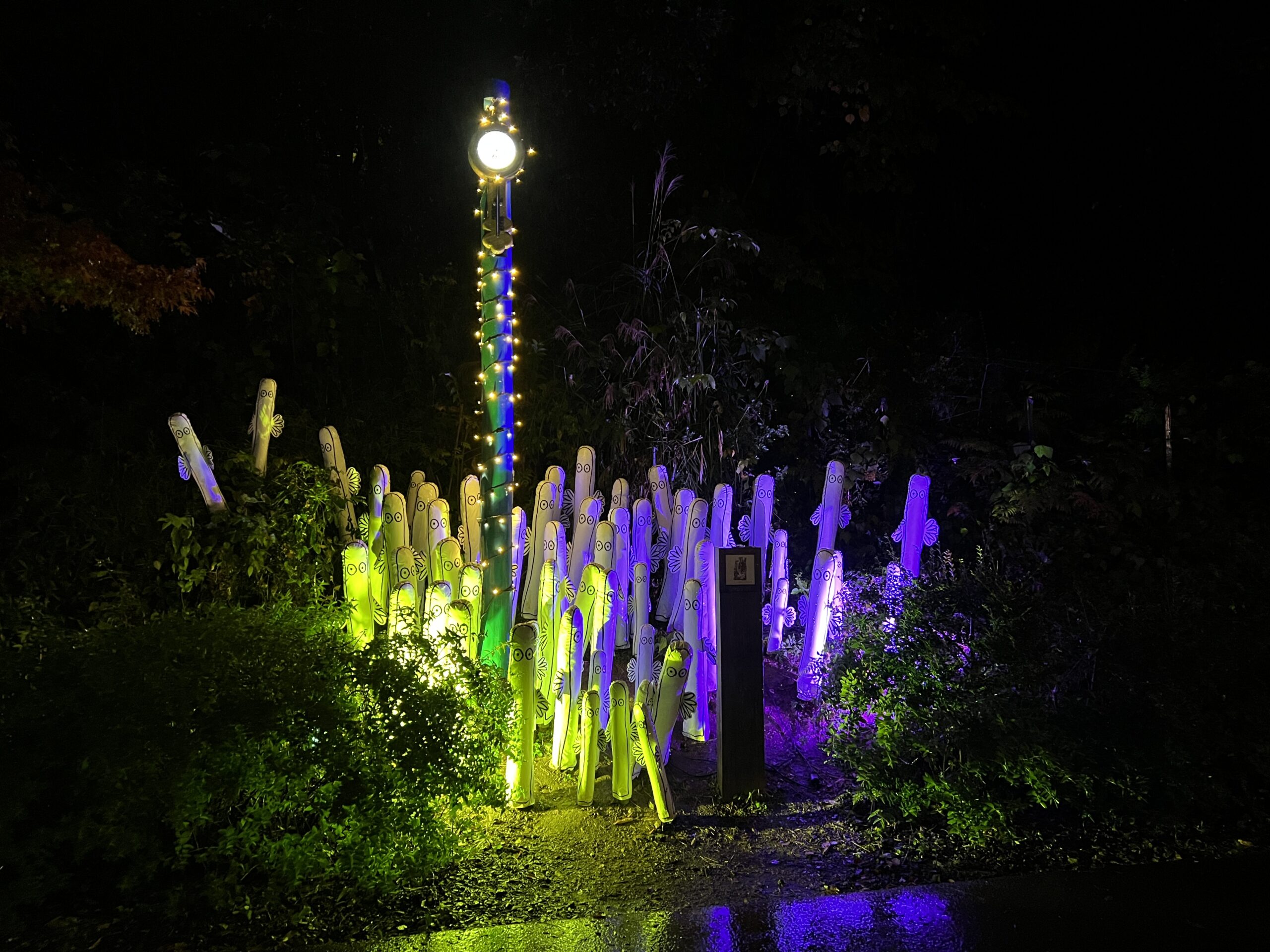 イルモリノオト