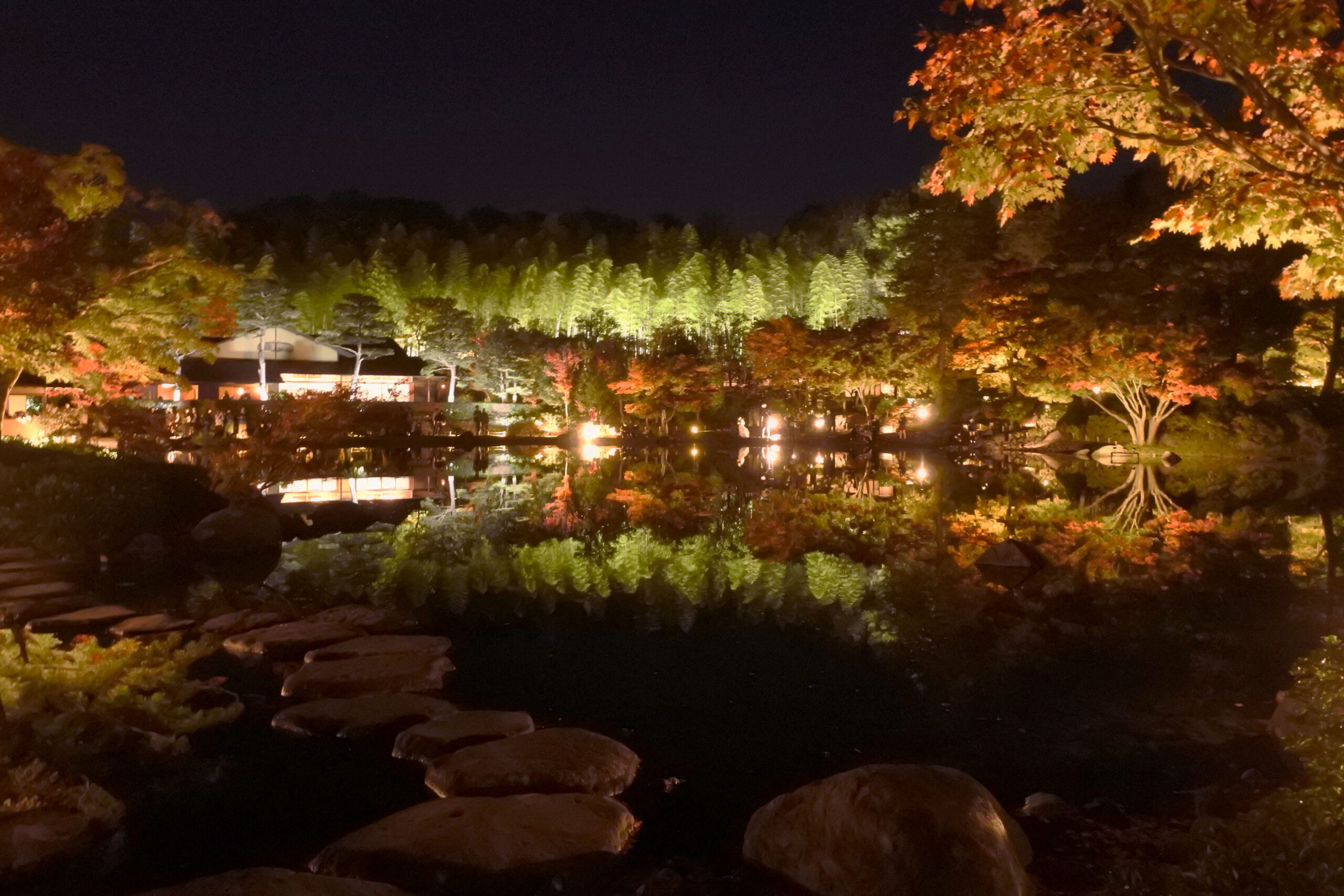 国営昭和記念公園「秋の夜散歩」