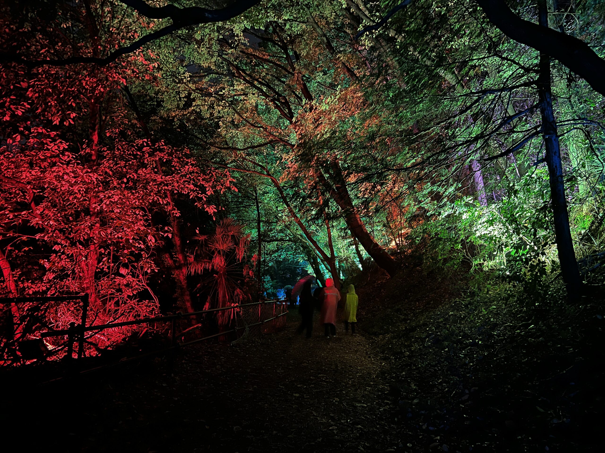 イルモリノオト