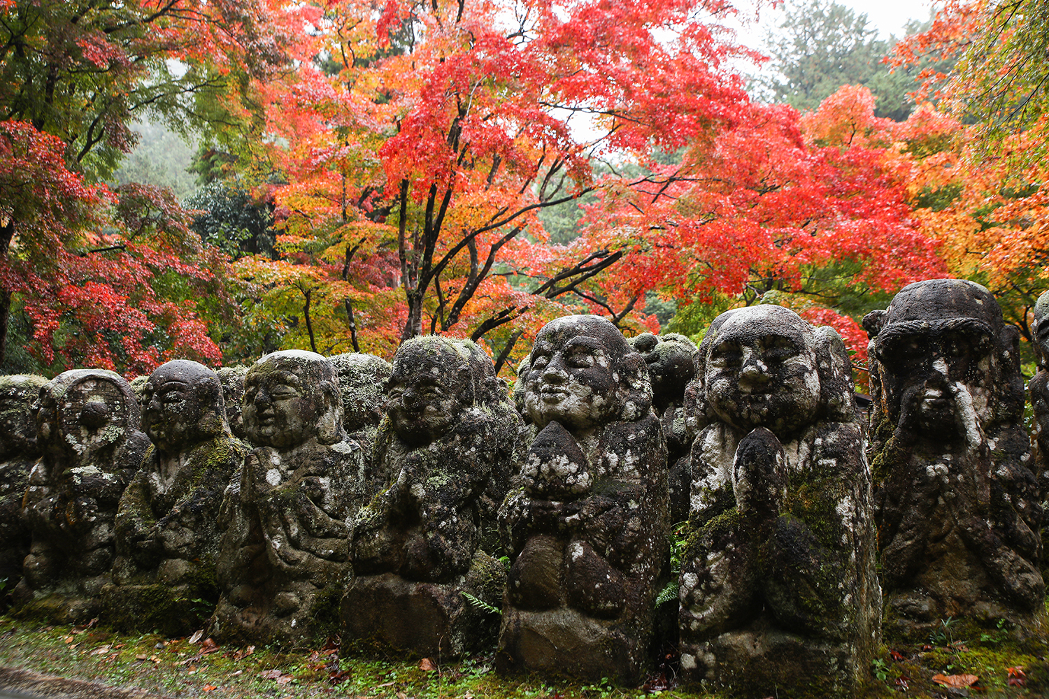 京都・嵐山の「天狗」がスゴイ！2023年「秋の紅葉祭り」千二百