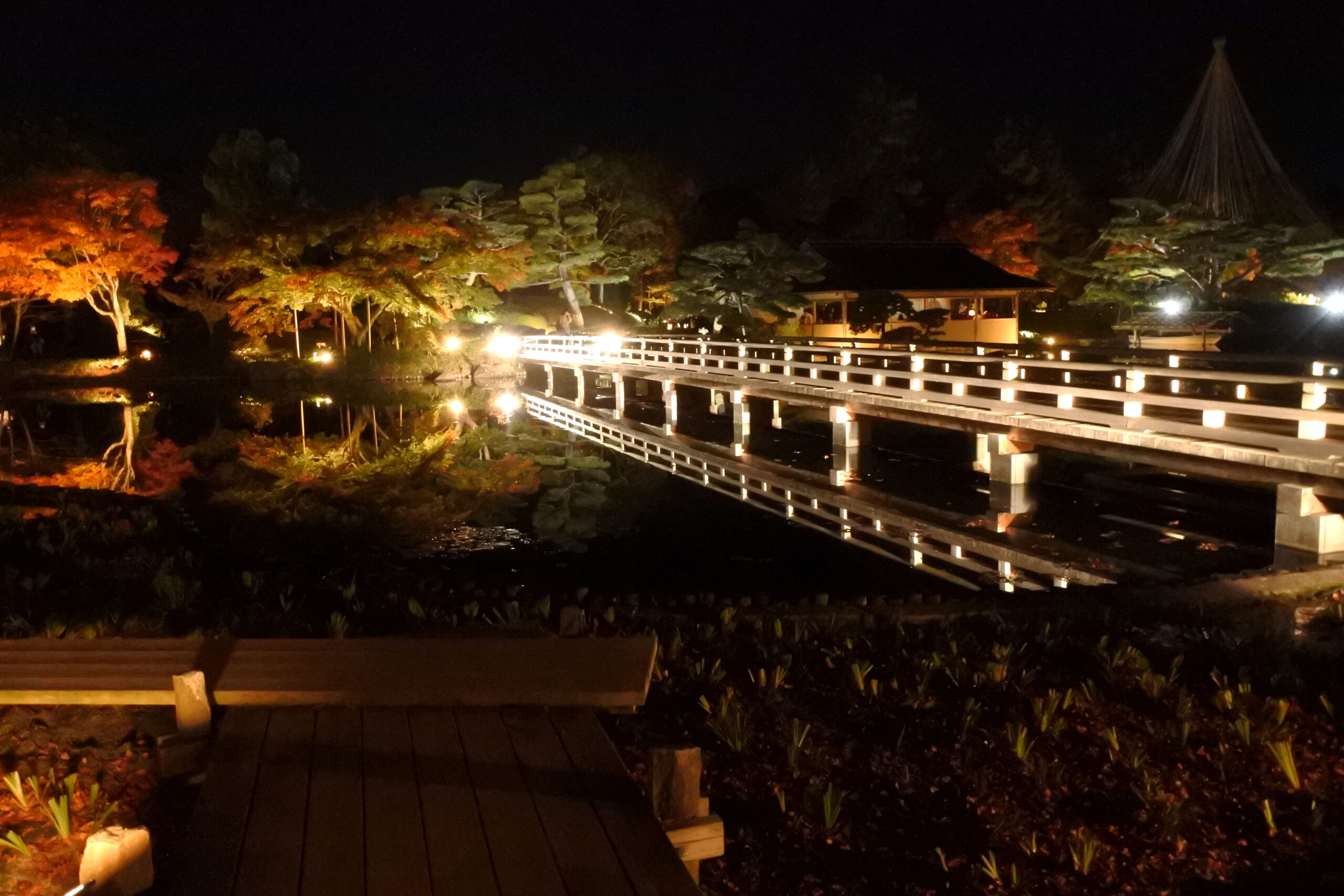 国営昭和記念公園「秋の夜散歩」