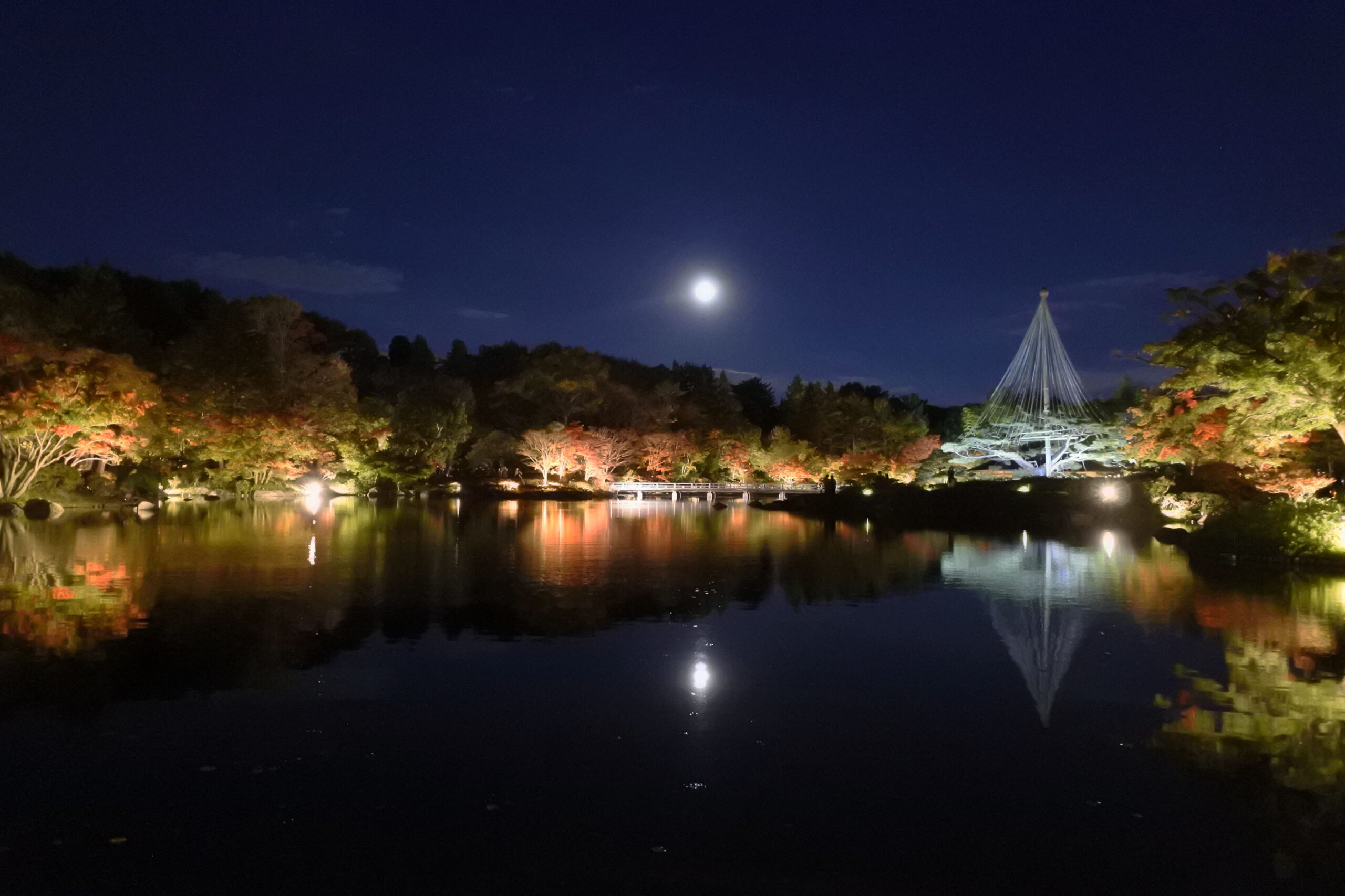 国営昭和記念公園「秋の夜散歩」