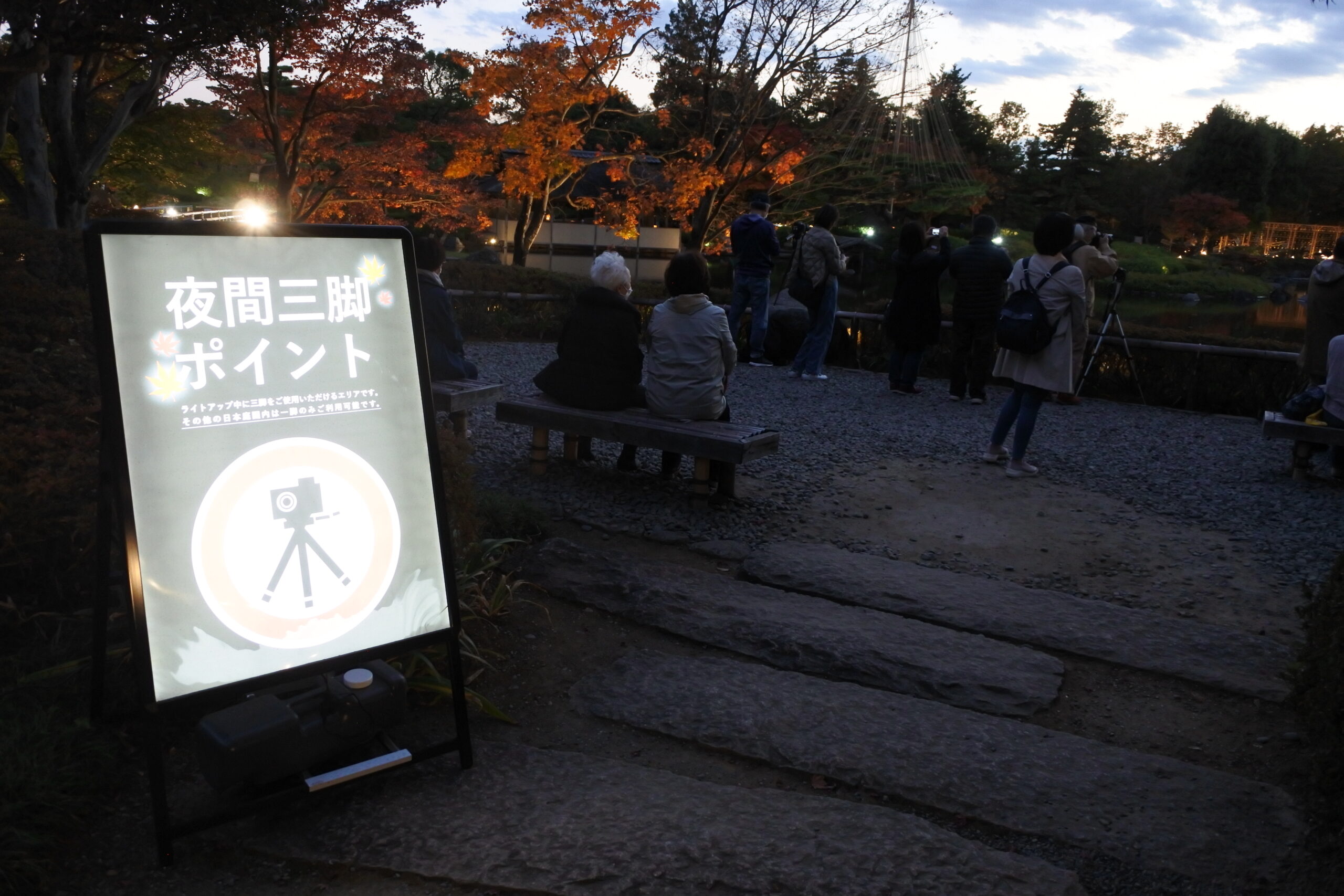 国営昭和記念公園「秋の夜散歩」