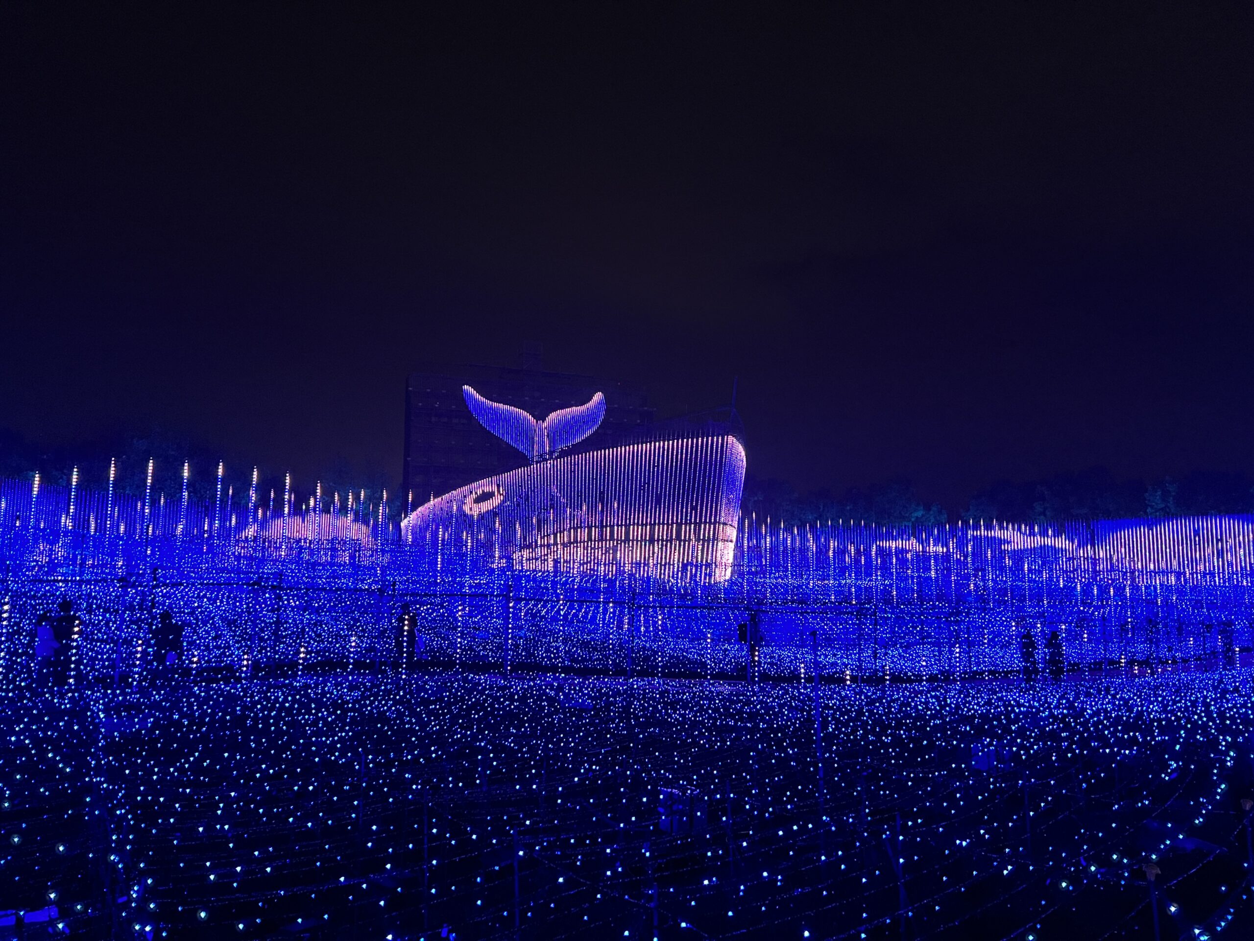天空の船」は壮大な光の劇場！「なばなの里」2022-2023