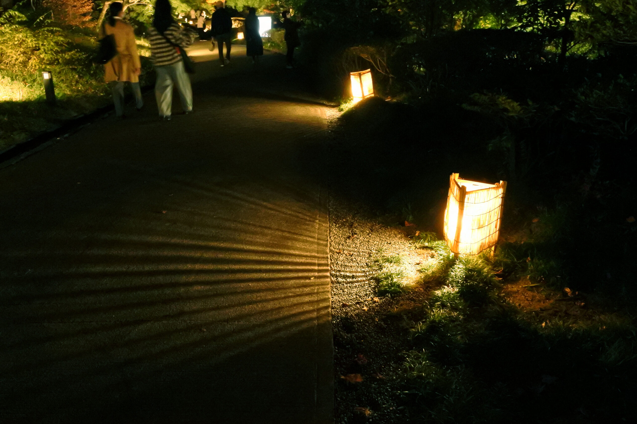 国営昭和記念公園「秋の夜散歩」