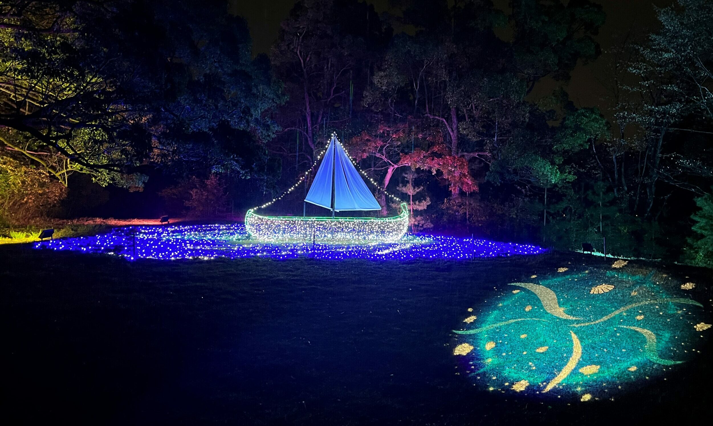 イルモリノオト