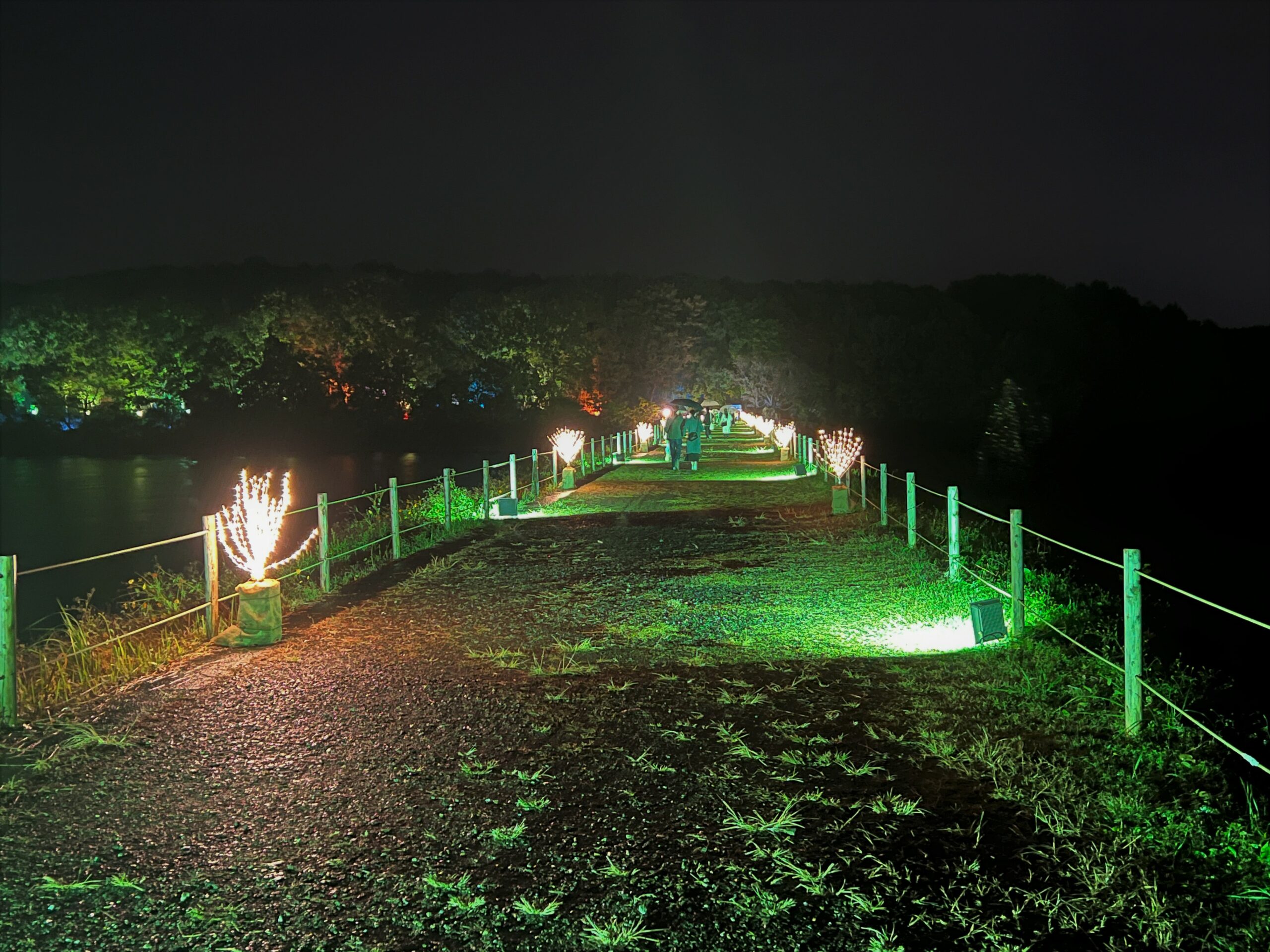 イルモリノオト