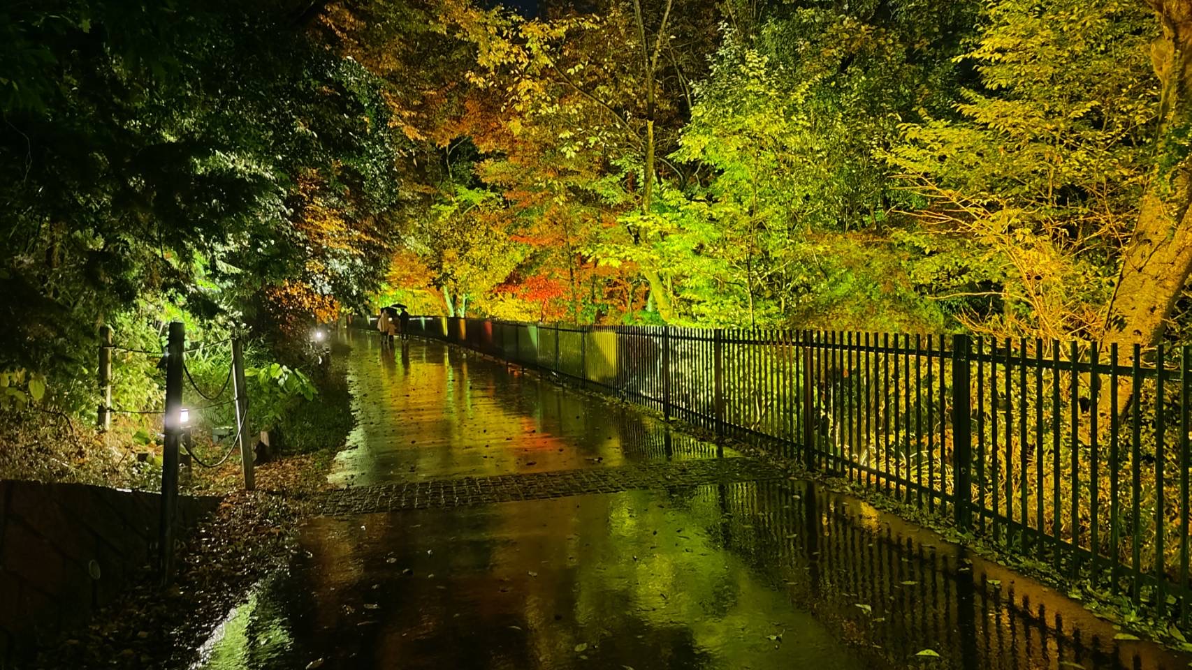 イルモリノオト