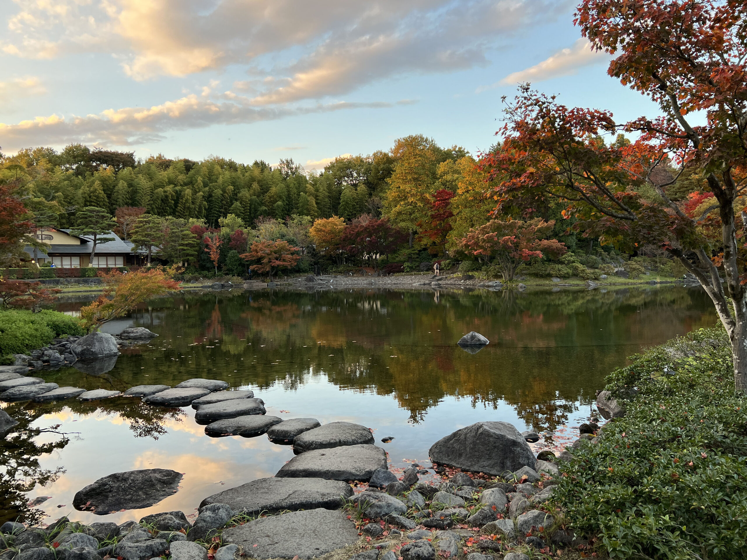 国営昭和記念公園「秋の夜散歩」