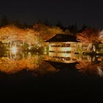 国営昭和記念公園「秋の夜散歩2022」開催！水面に映る日本庭園が圧巻