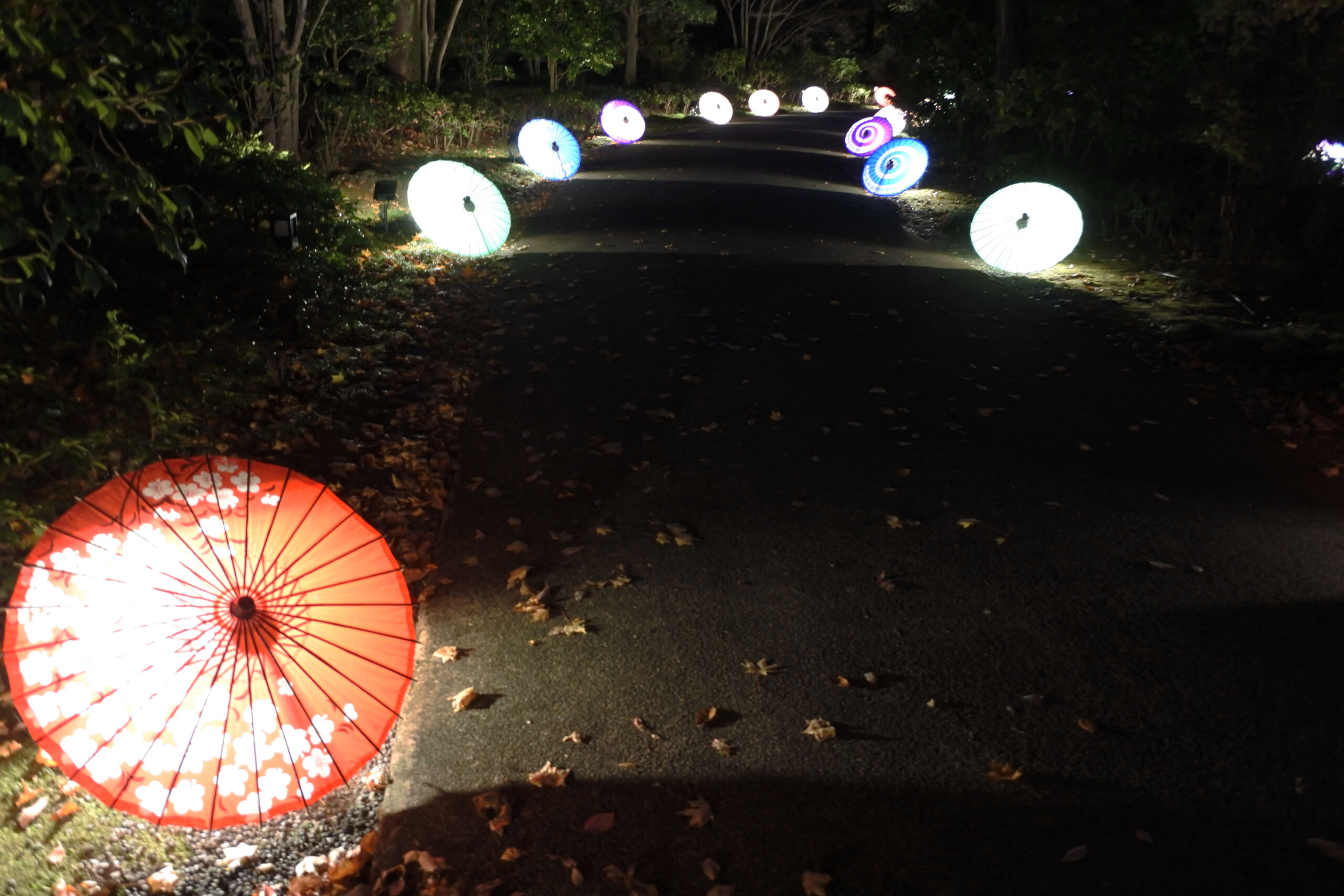 国営昭和記念公園「秋の夜散歩」