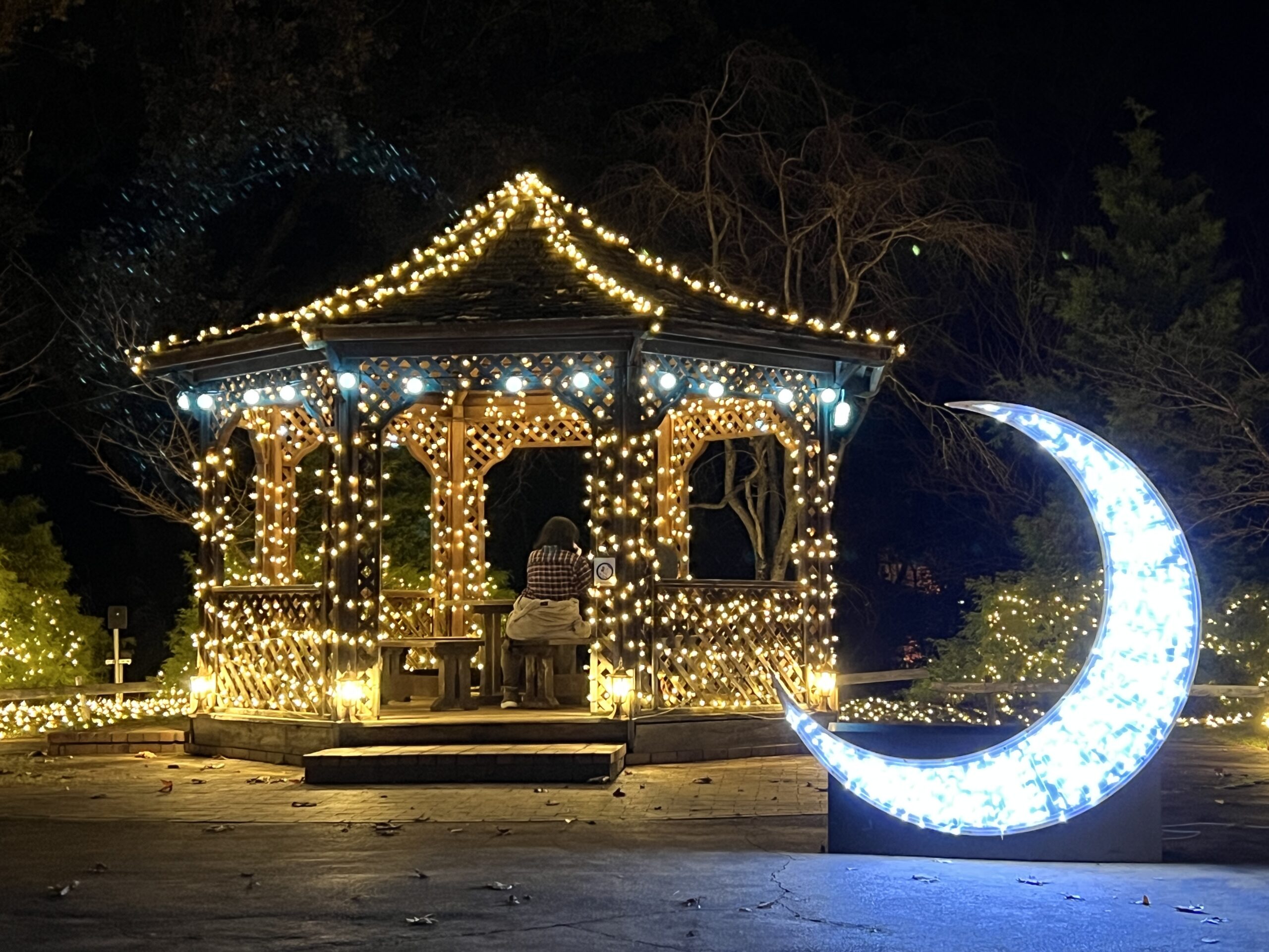 修善寺虹の郷サンクスイルミ