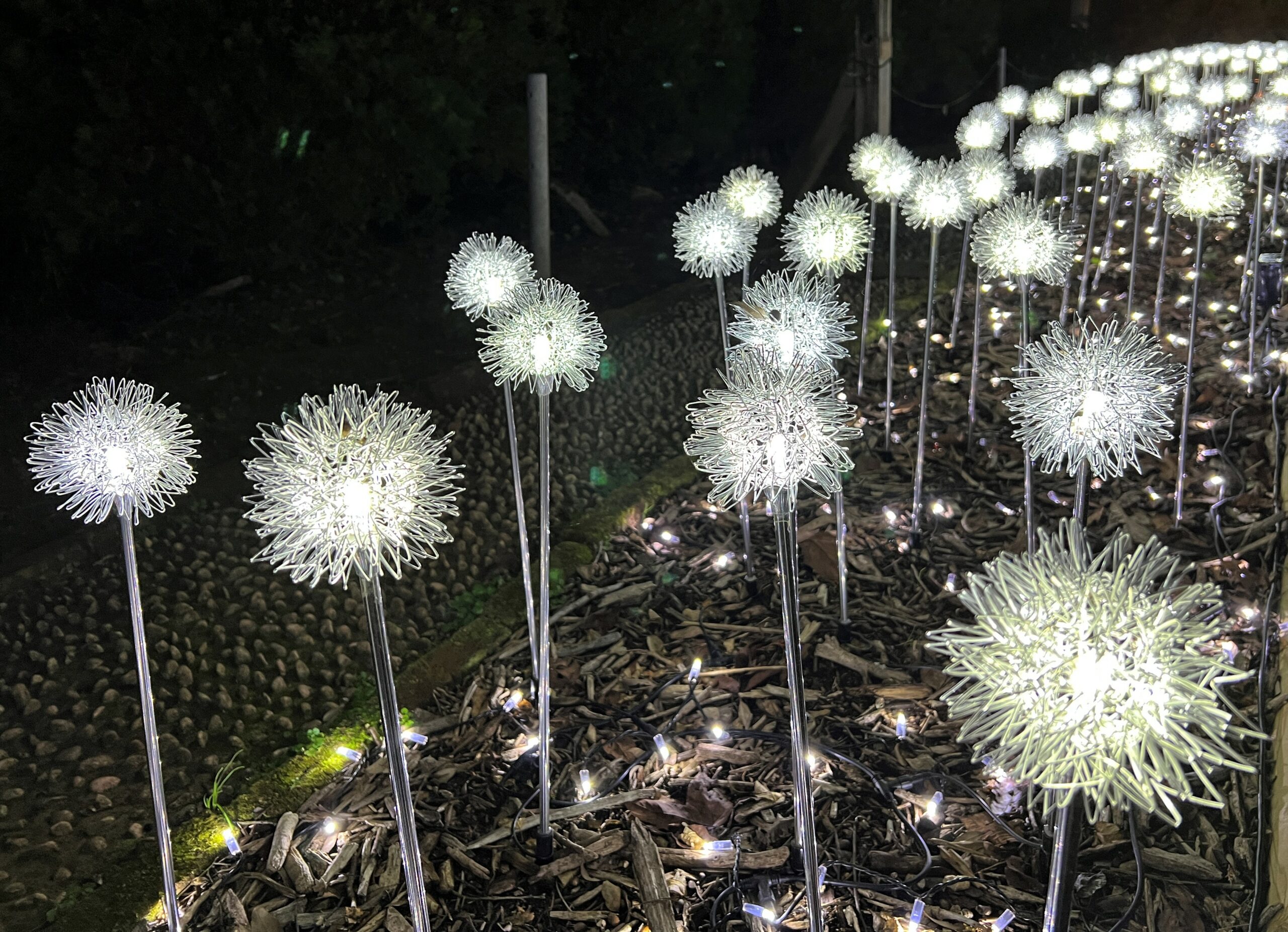 修善寺虹の郷サンクスイルミ