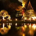 3年ぶりに開催！「庭紅葉の六義園 夜間特別観賞」都心の静かな秋の輝きをレポ