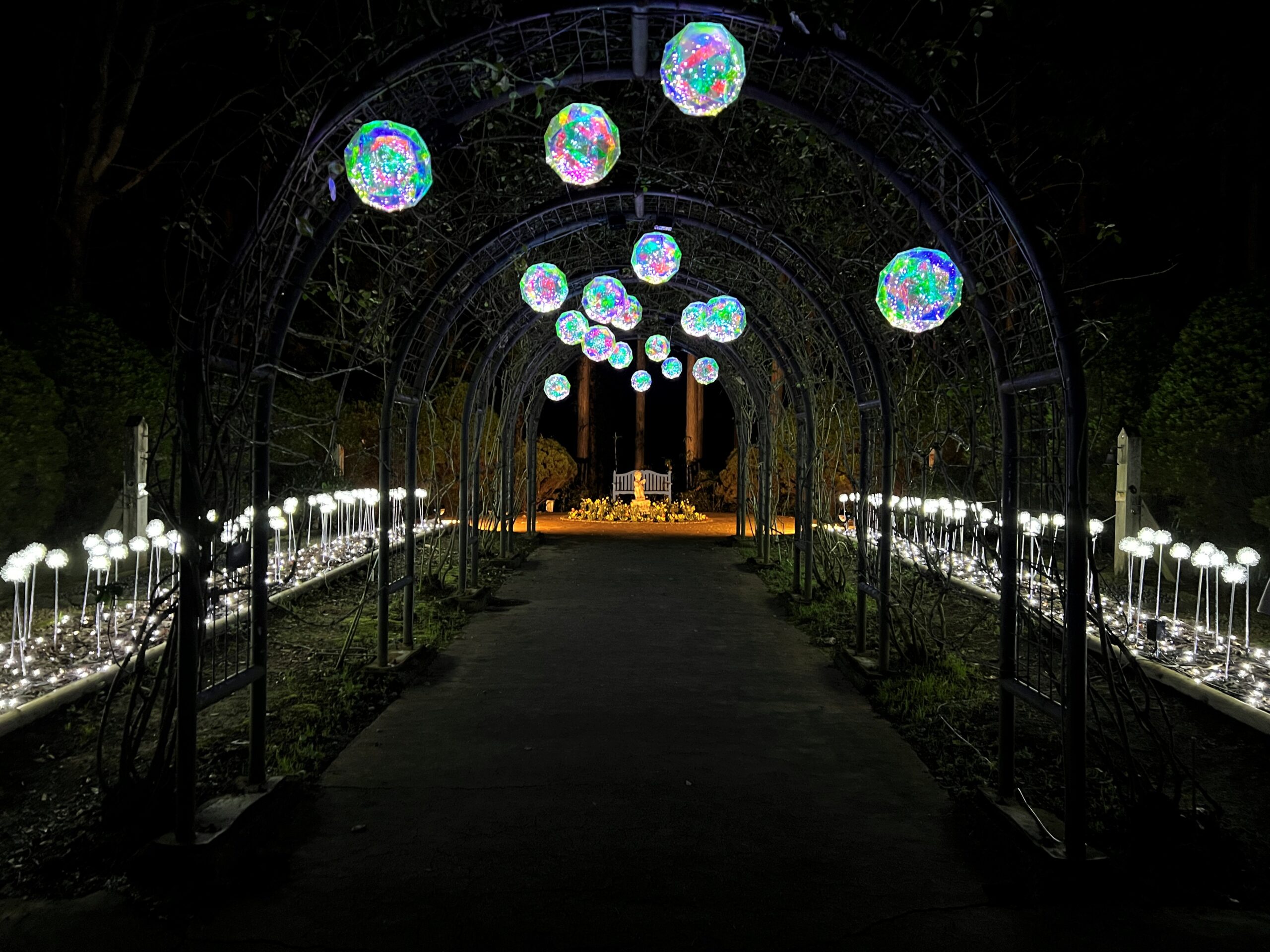 修善寺虹の郷サンクスイルミ