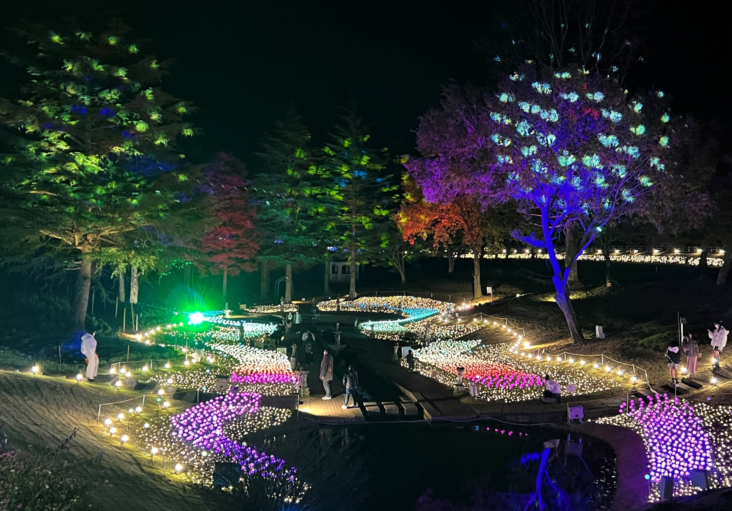 修善寺虹の郷サンクスイルミ