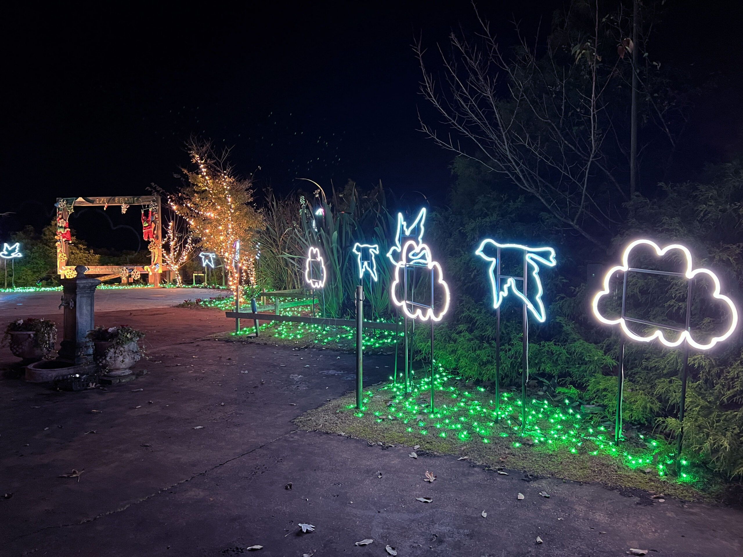 修善寺虹の郷サンクスイルミ