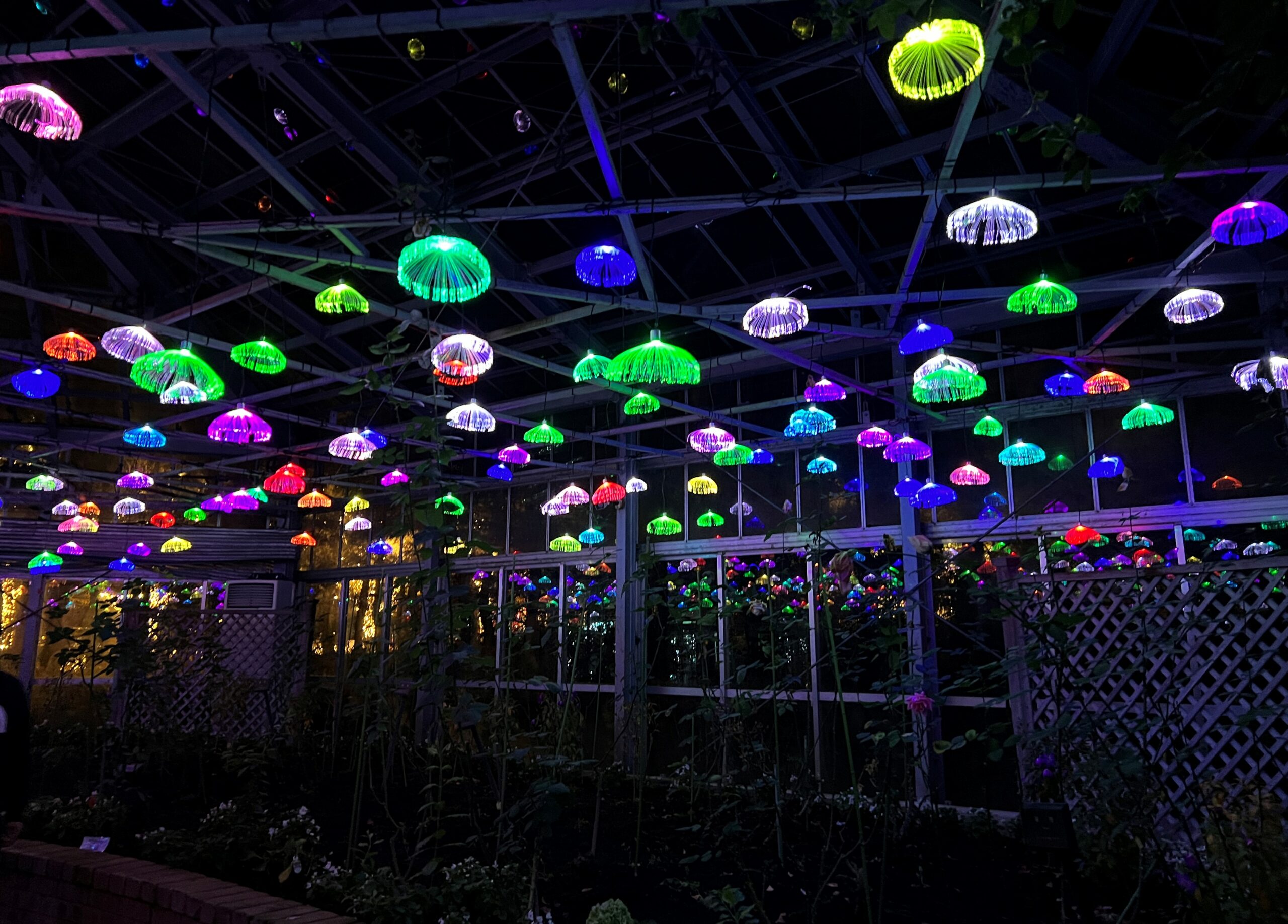 修善寺虹の郷サンクスイルミ