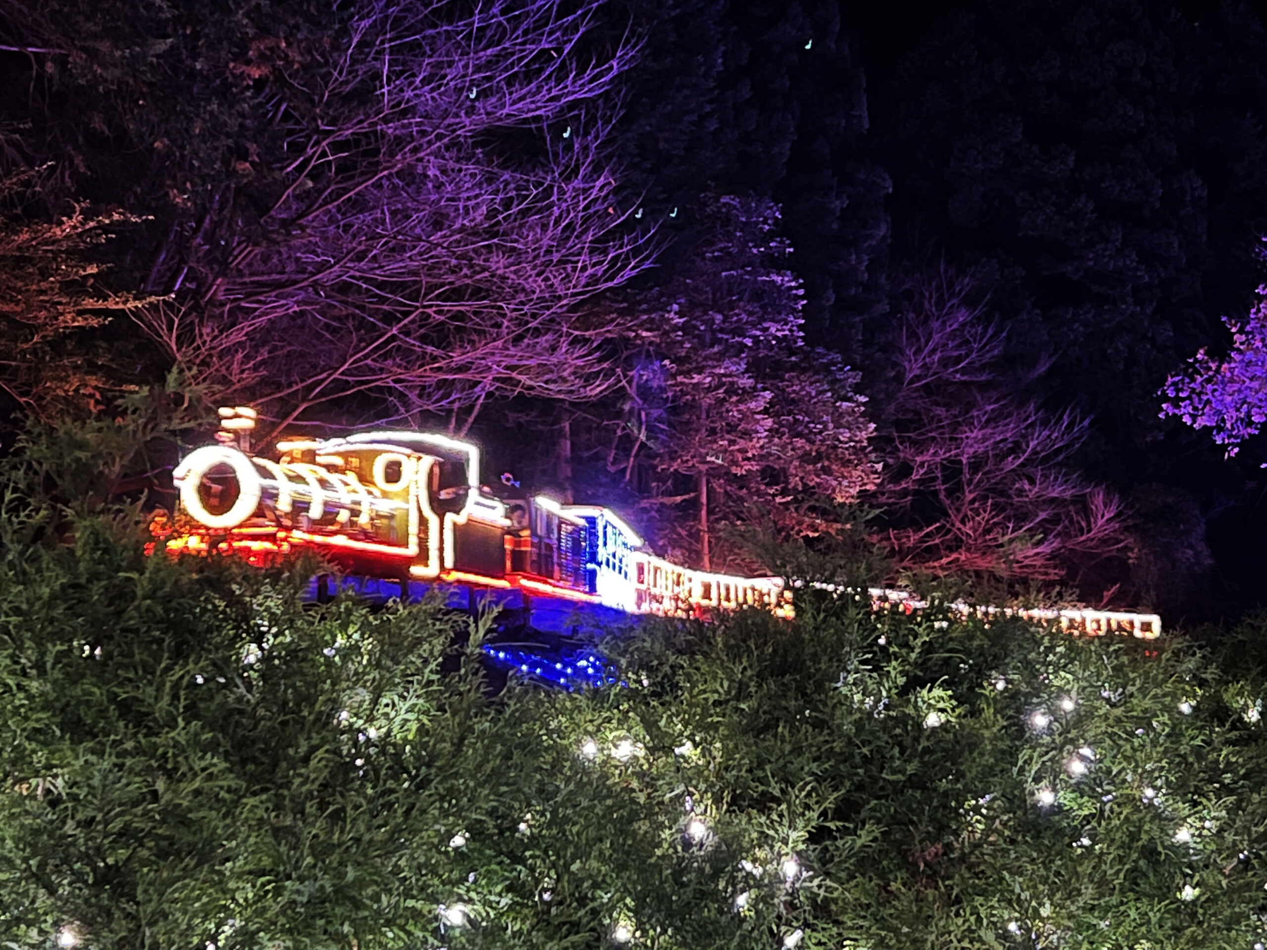 修善寺虹の郷サンクスイルミ